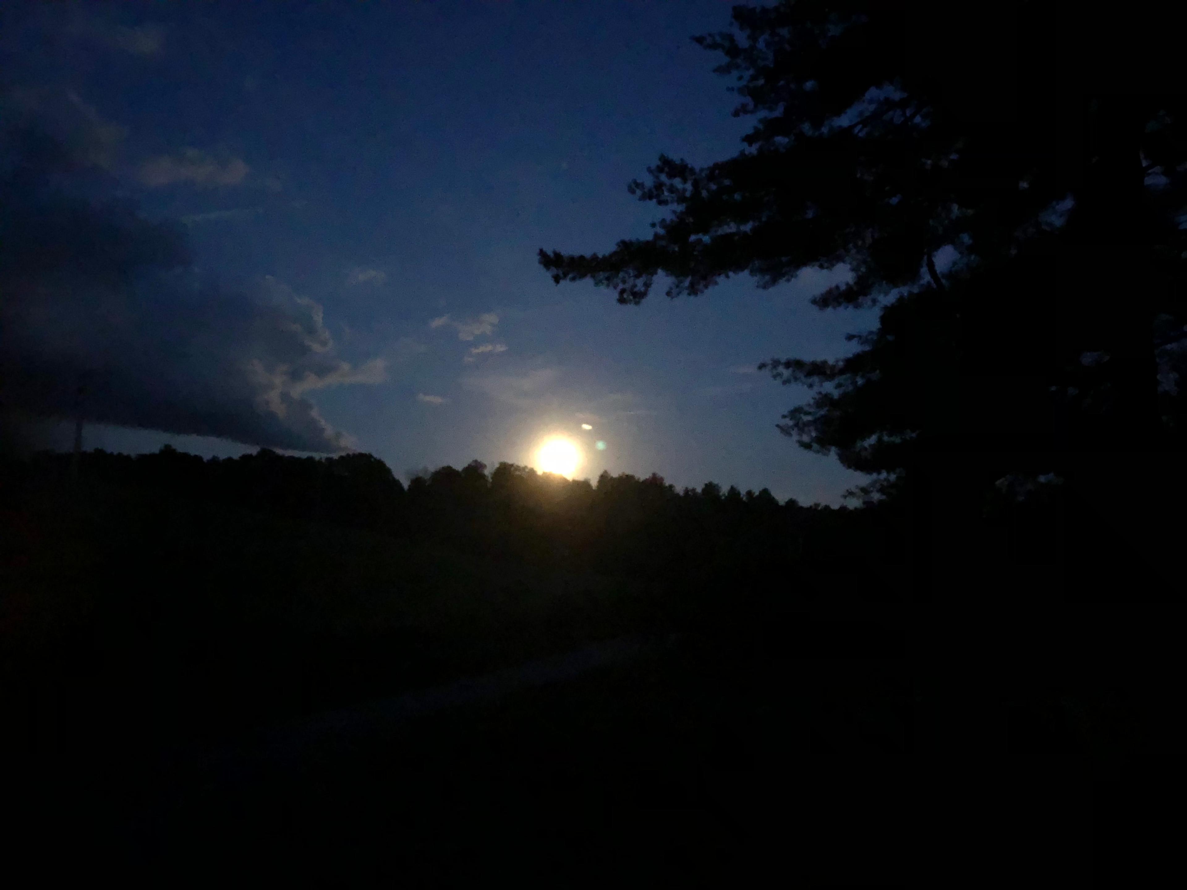 Night sky watching 