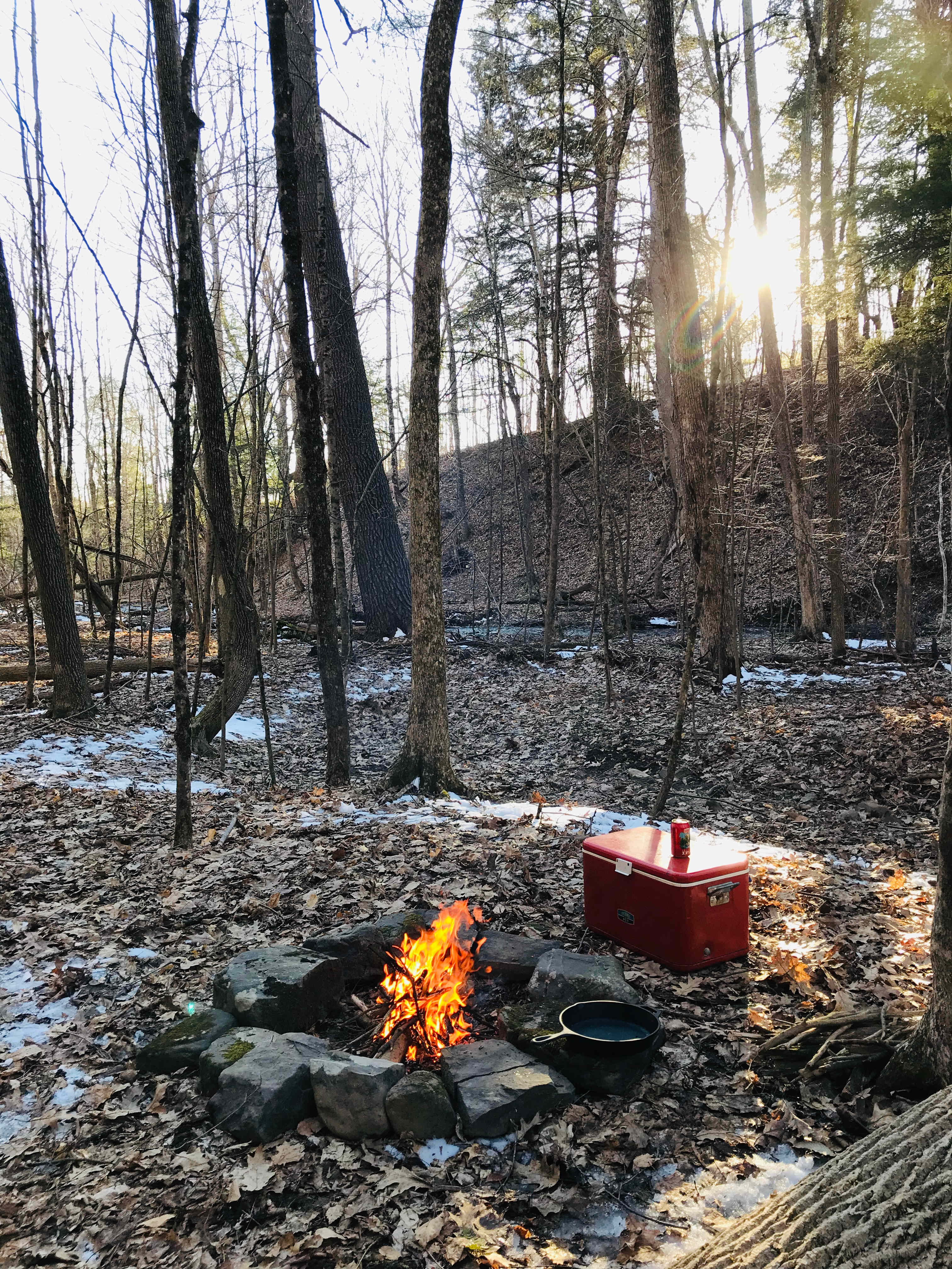 Spring afternoon