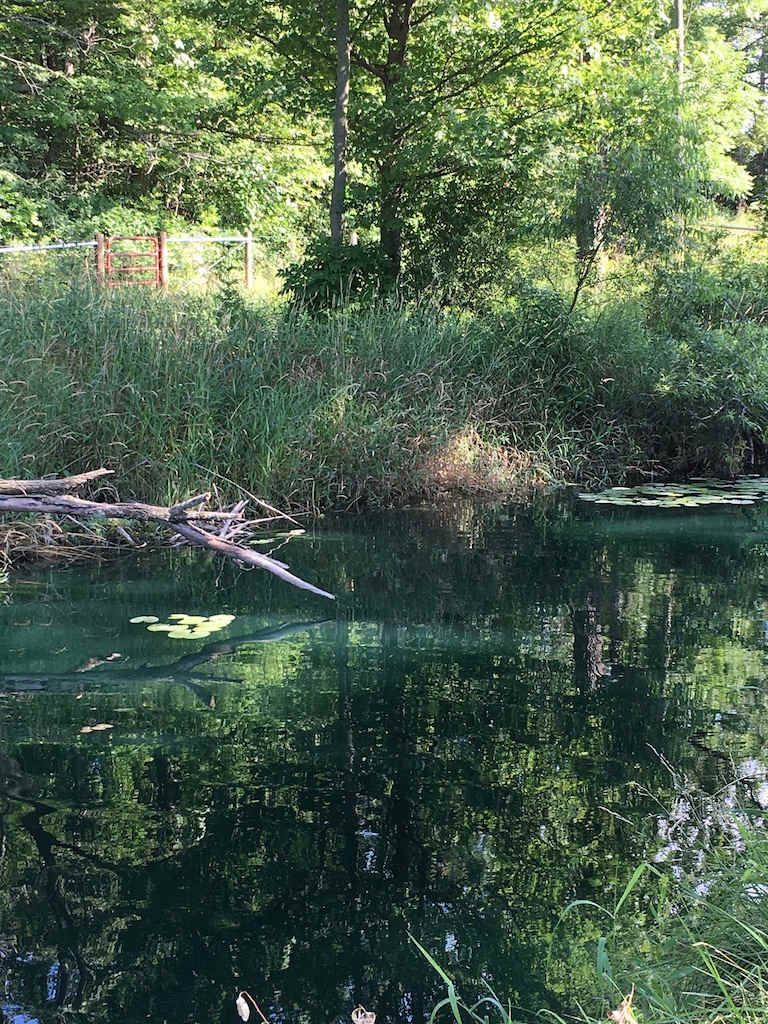 Channel between the two pond basins.  