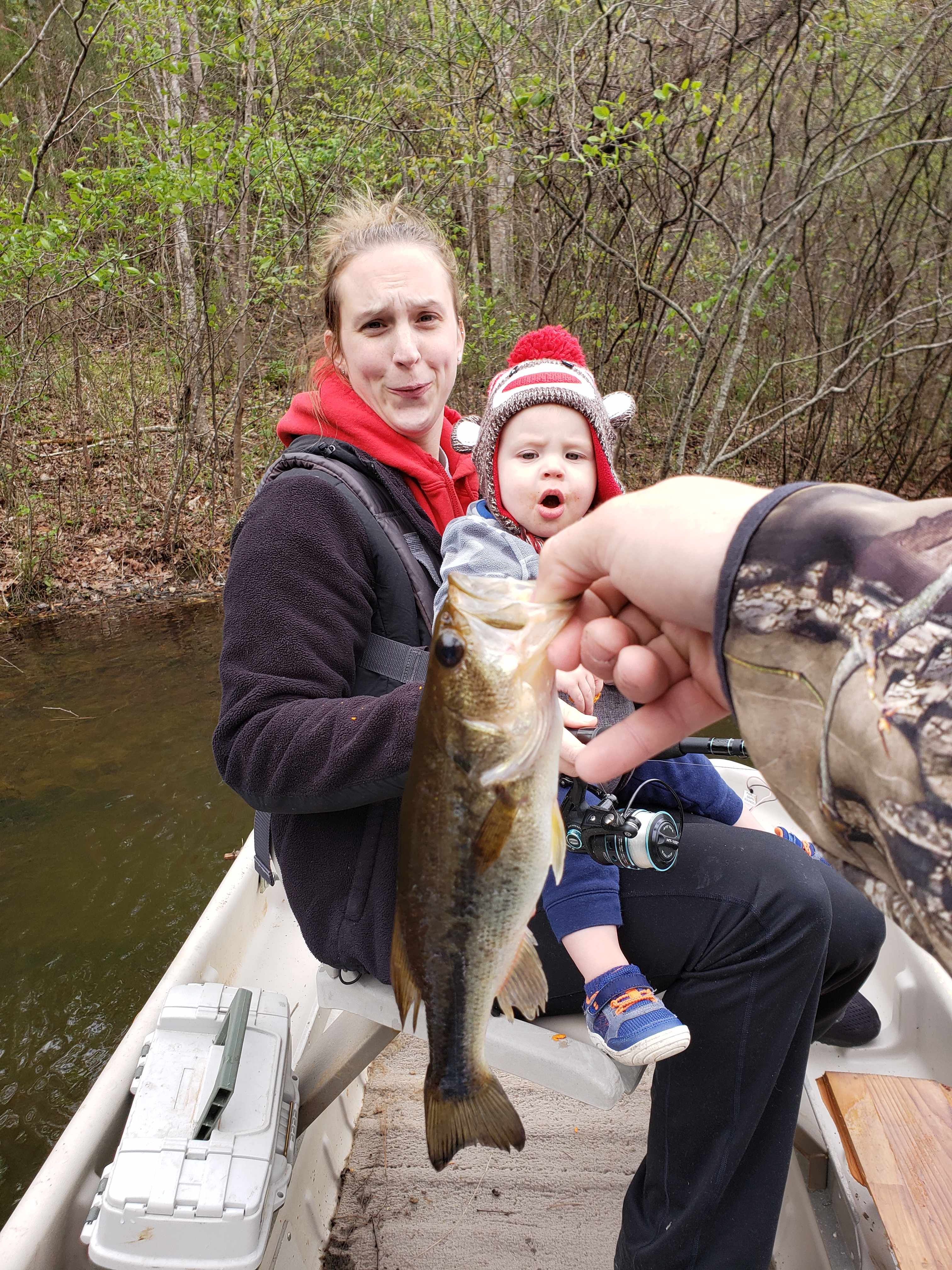 Murchison Farm's Primitive Camping