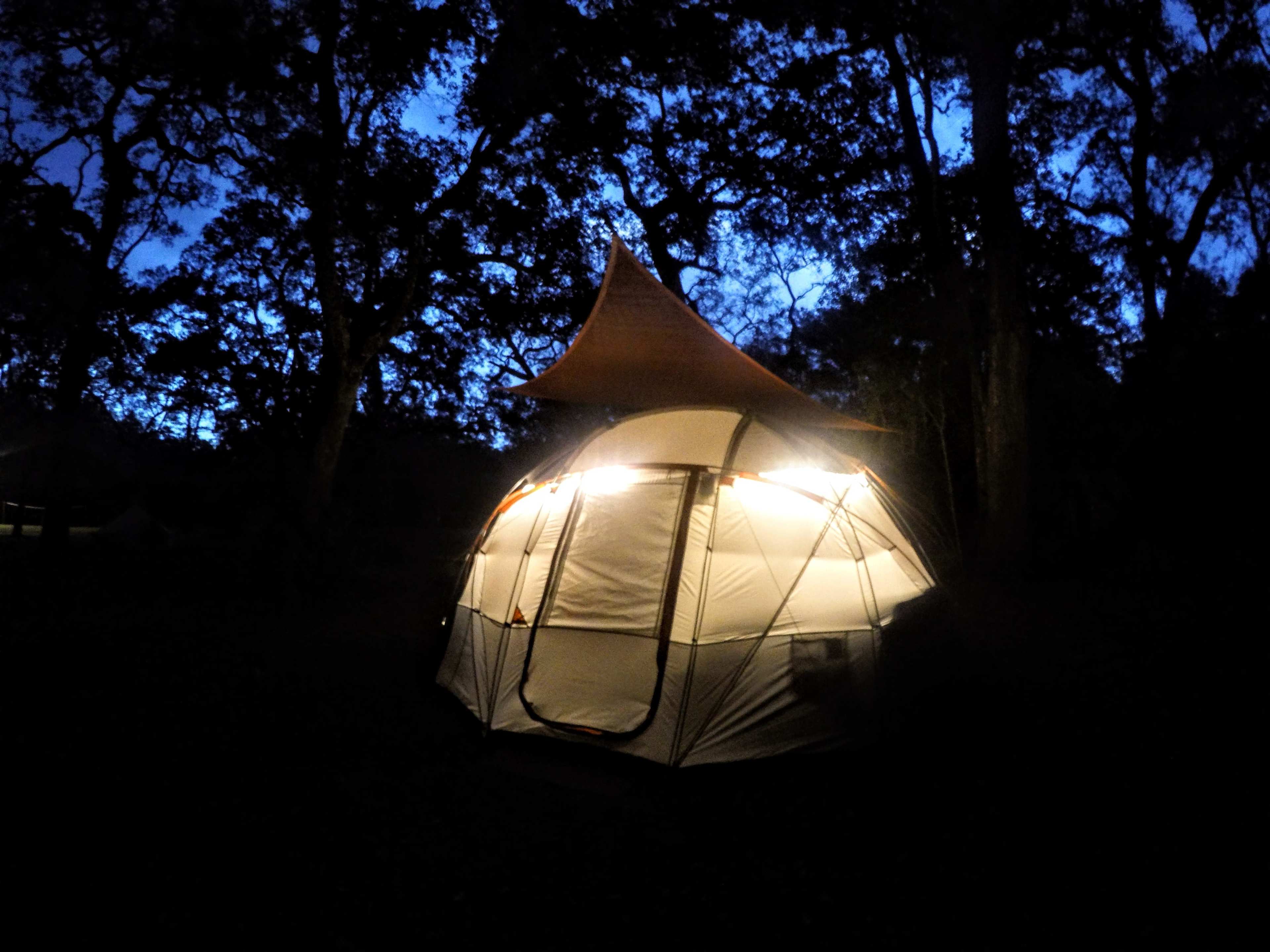 Suwannee River Cove Campground