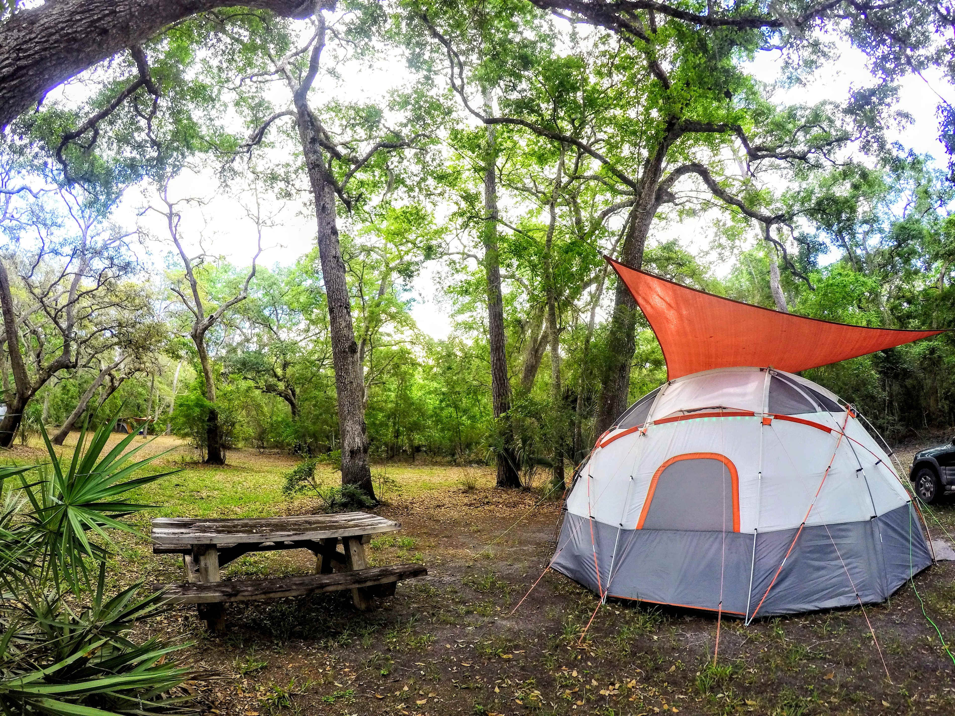 Suwannee River Cove Campground
