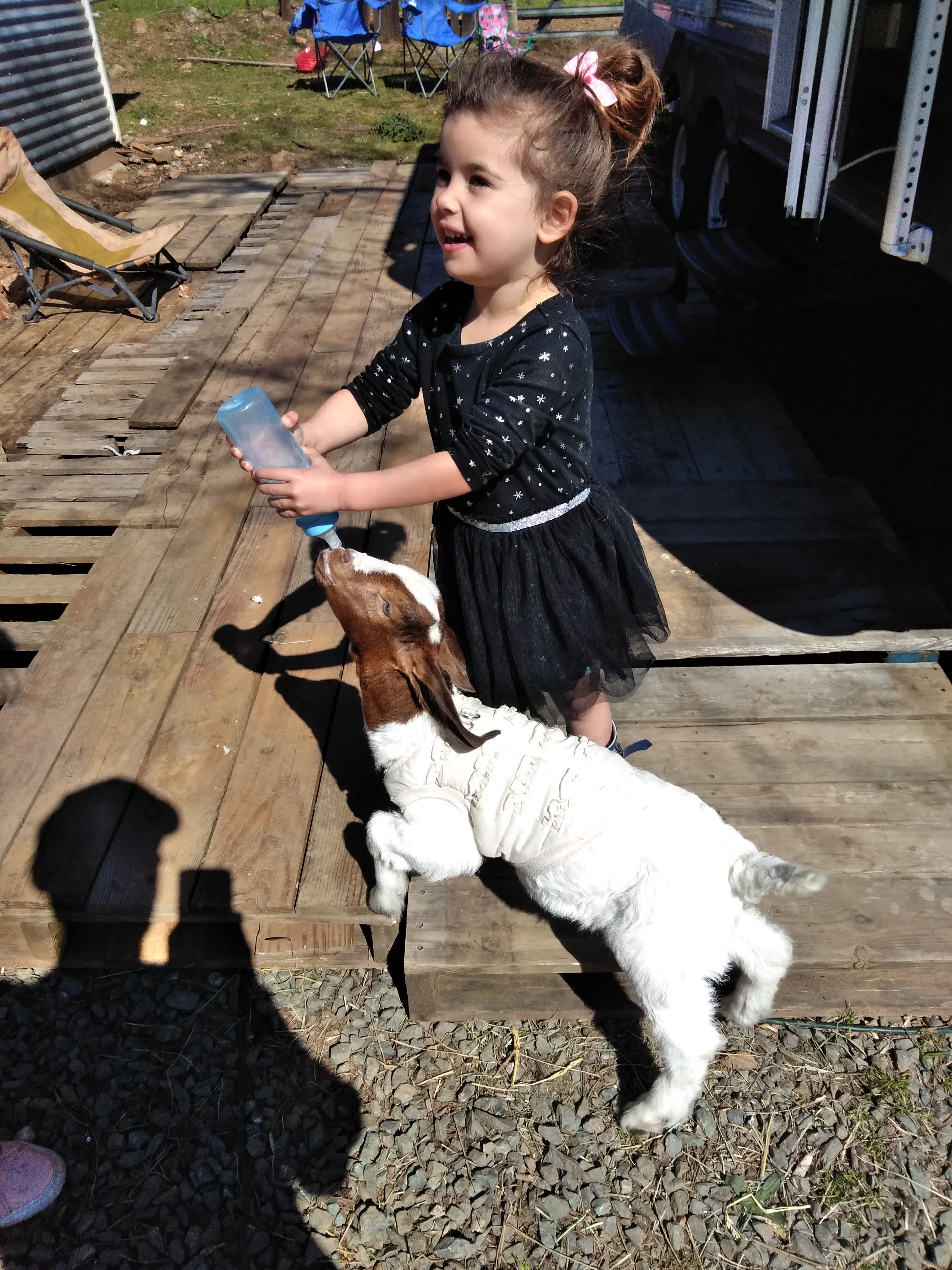 My daughter having the time of her life feeding this little cutie. Little baby was just visiting. 