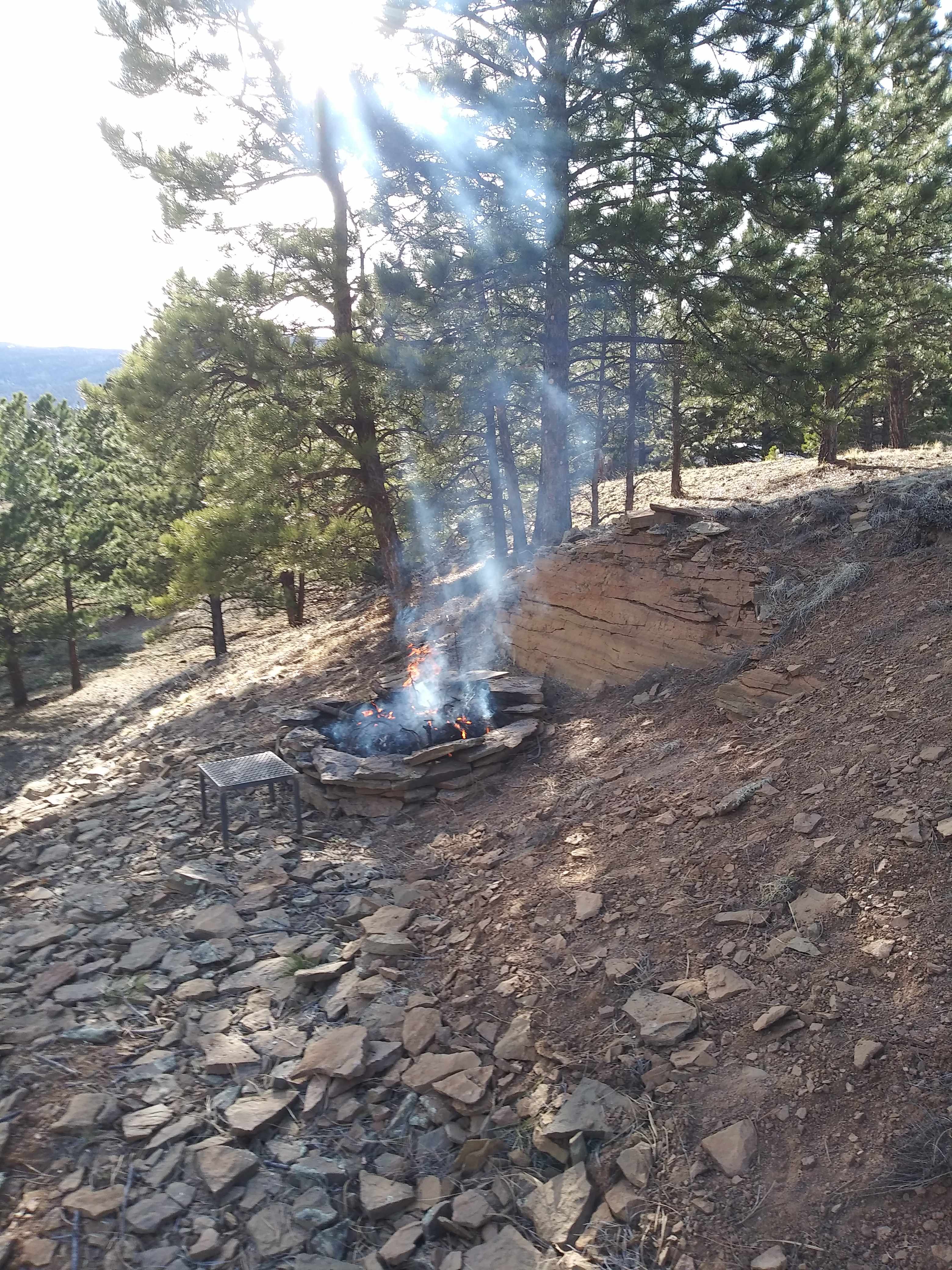 Picture of the site