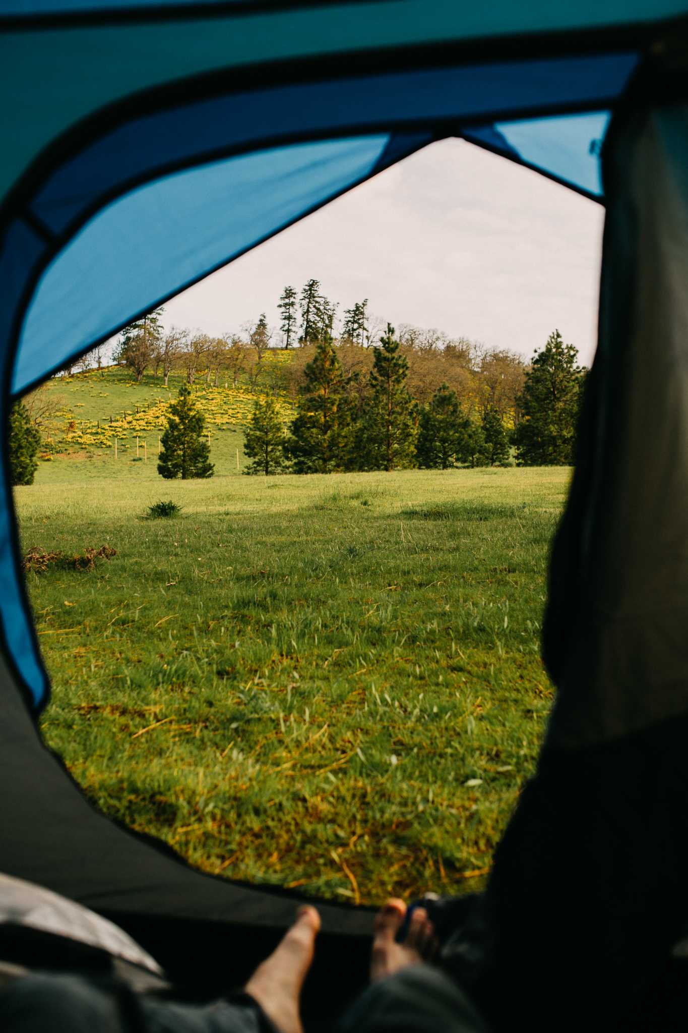 Morning view