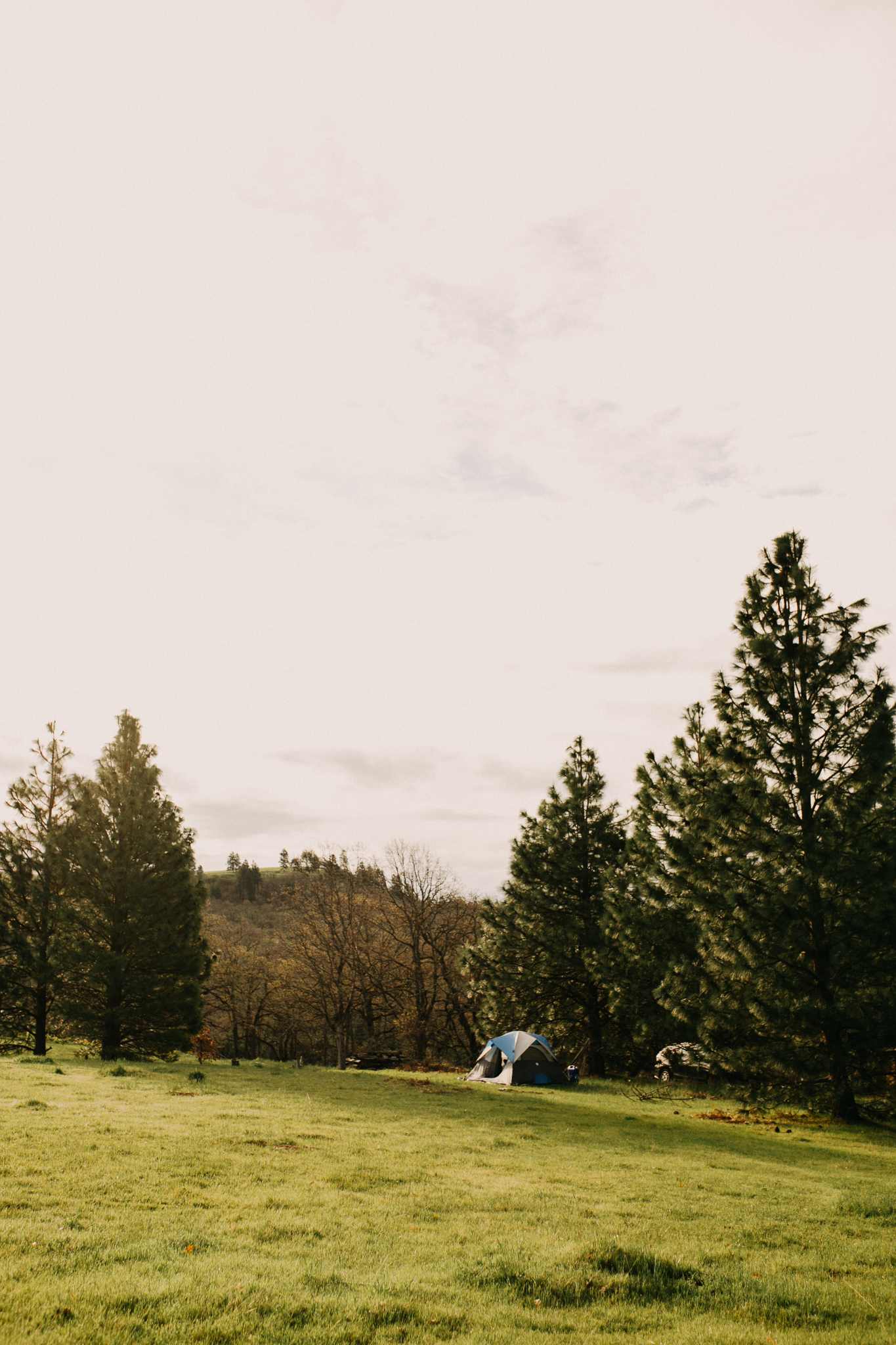 Klickitat Canyon Winery
