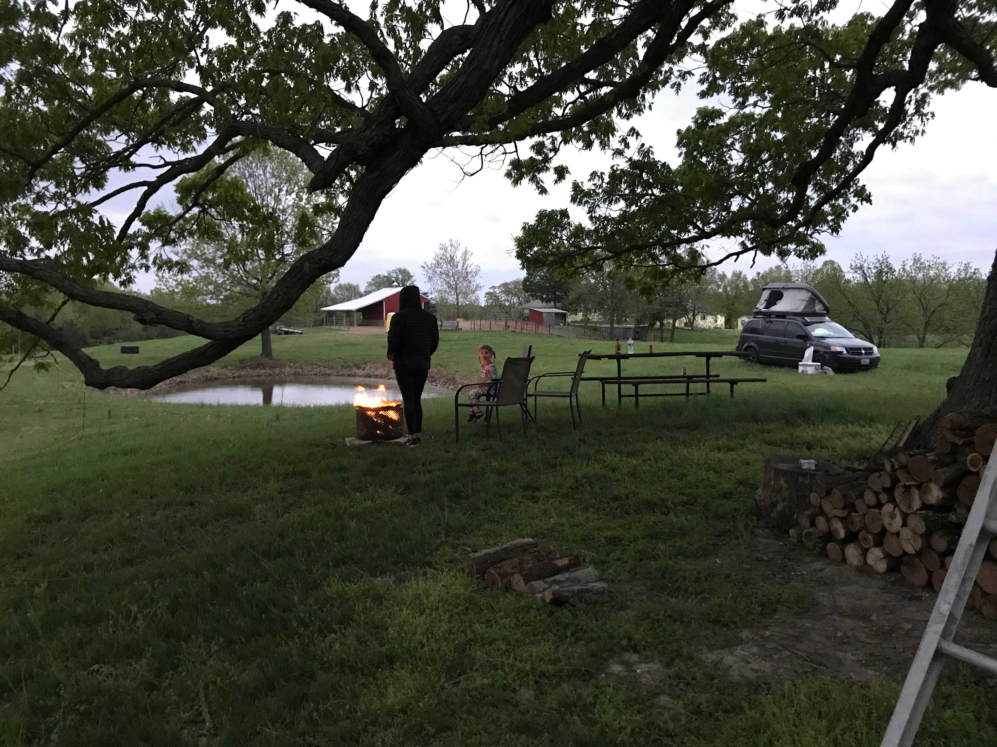 Picture of the site