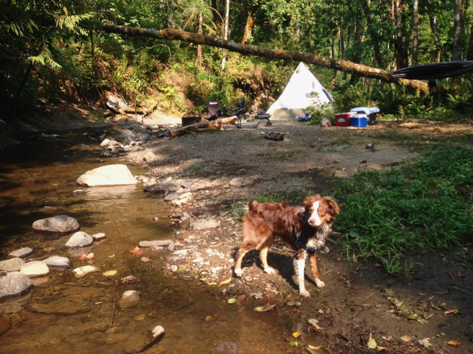 Picture of the site