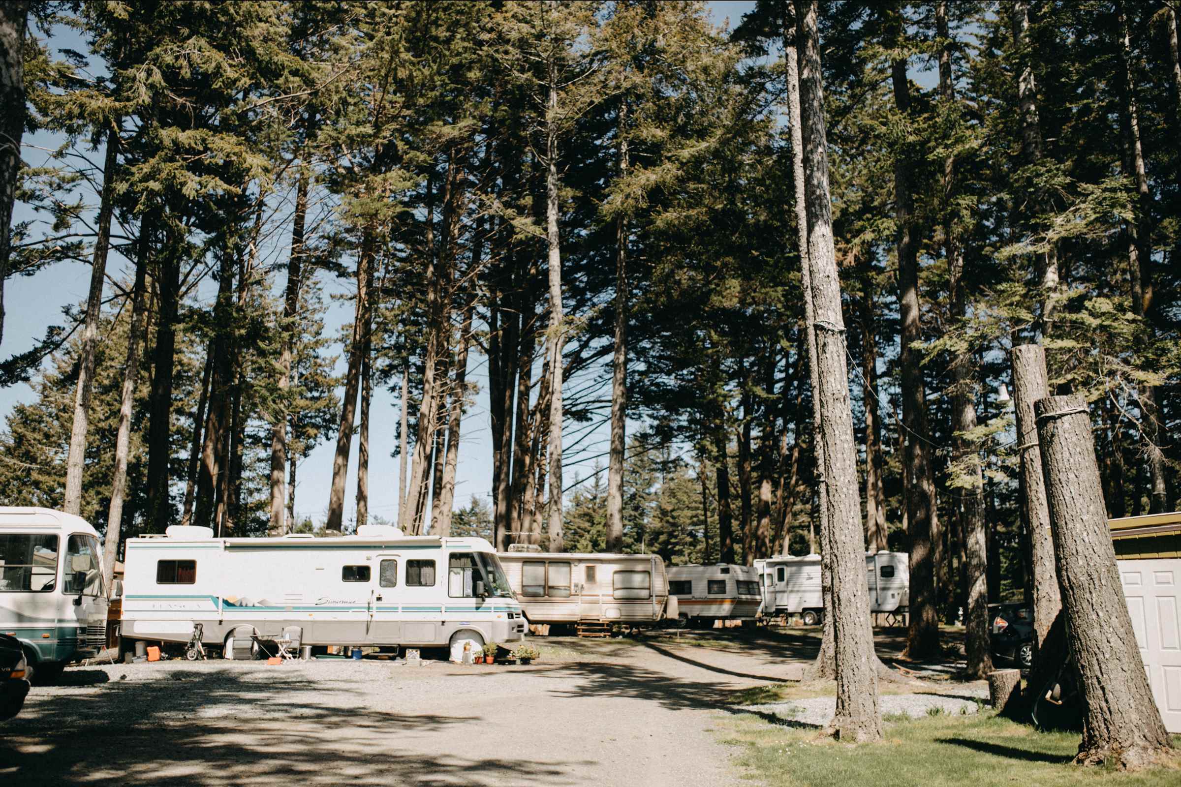 The RVs