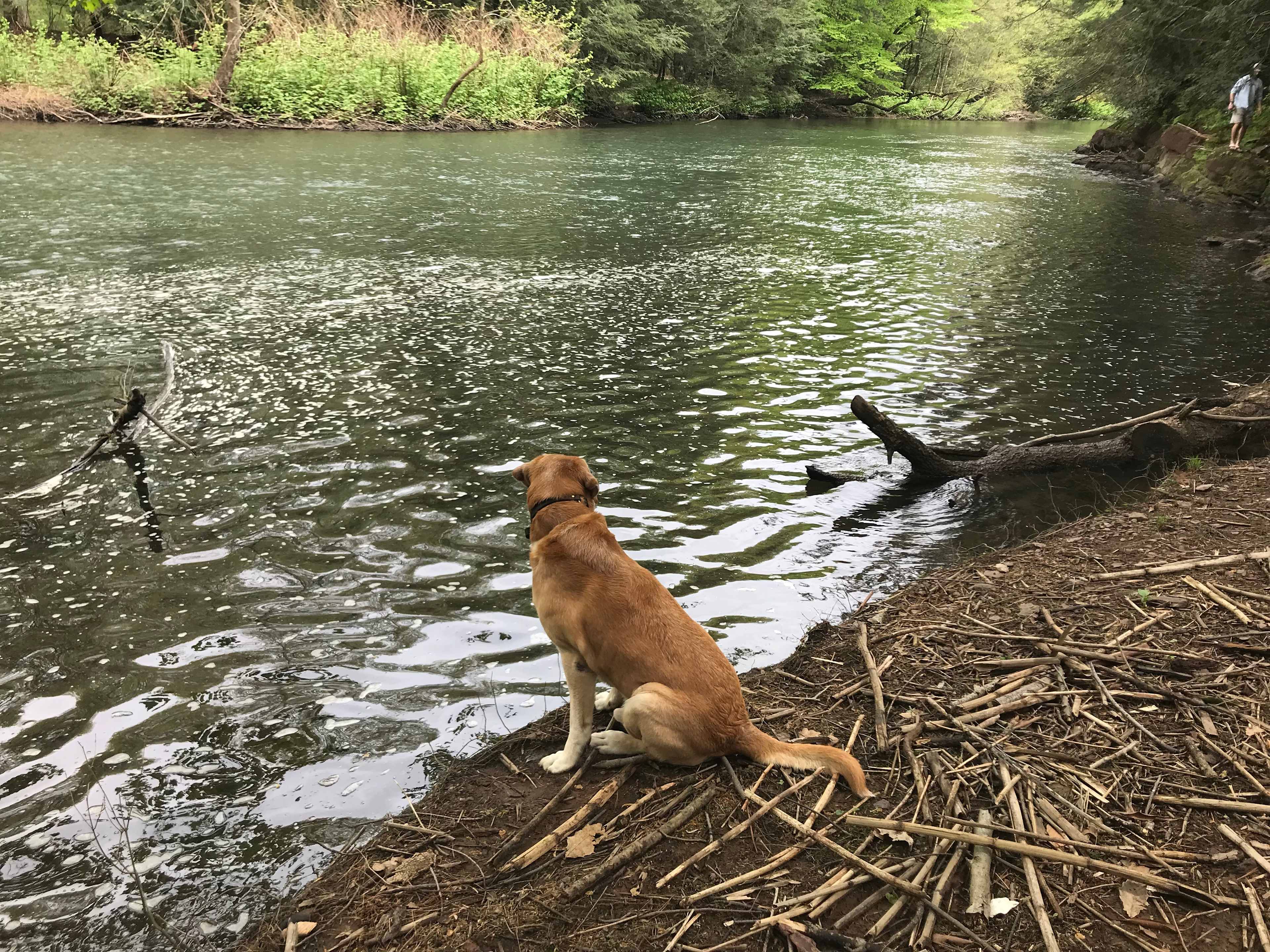 Peace & Quiet by the River!