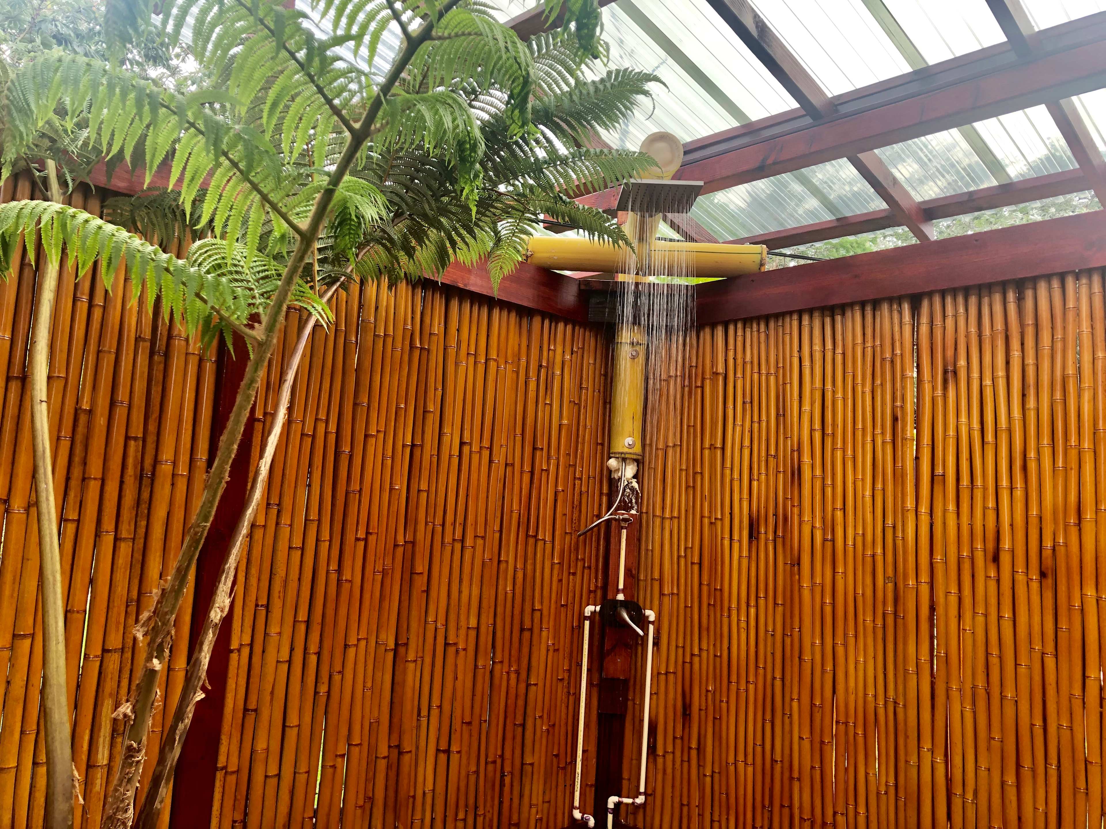 BAMBOO GLAMP
