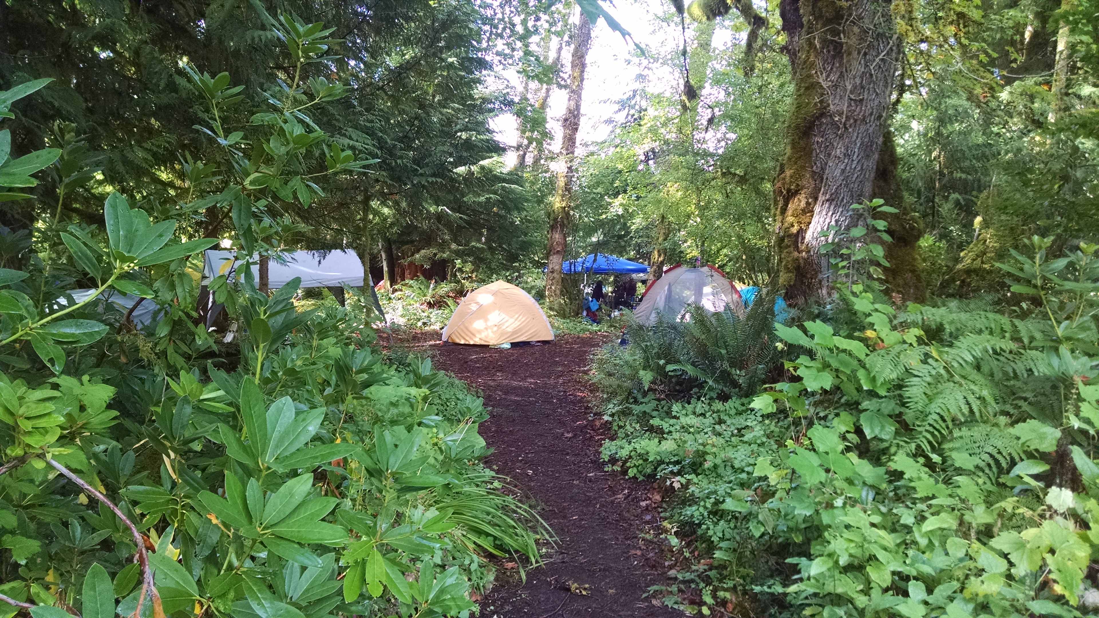 Zigzag Mountain Farm on Mount Hood