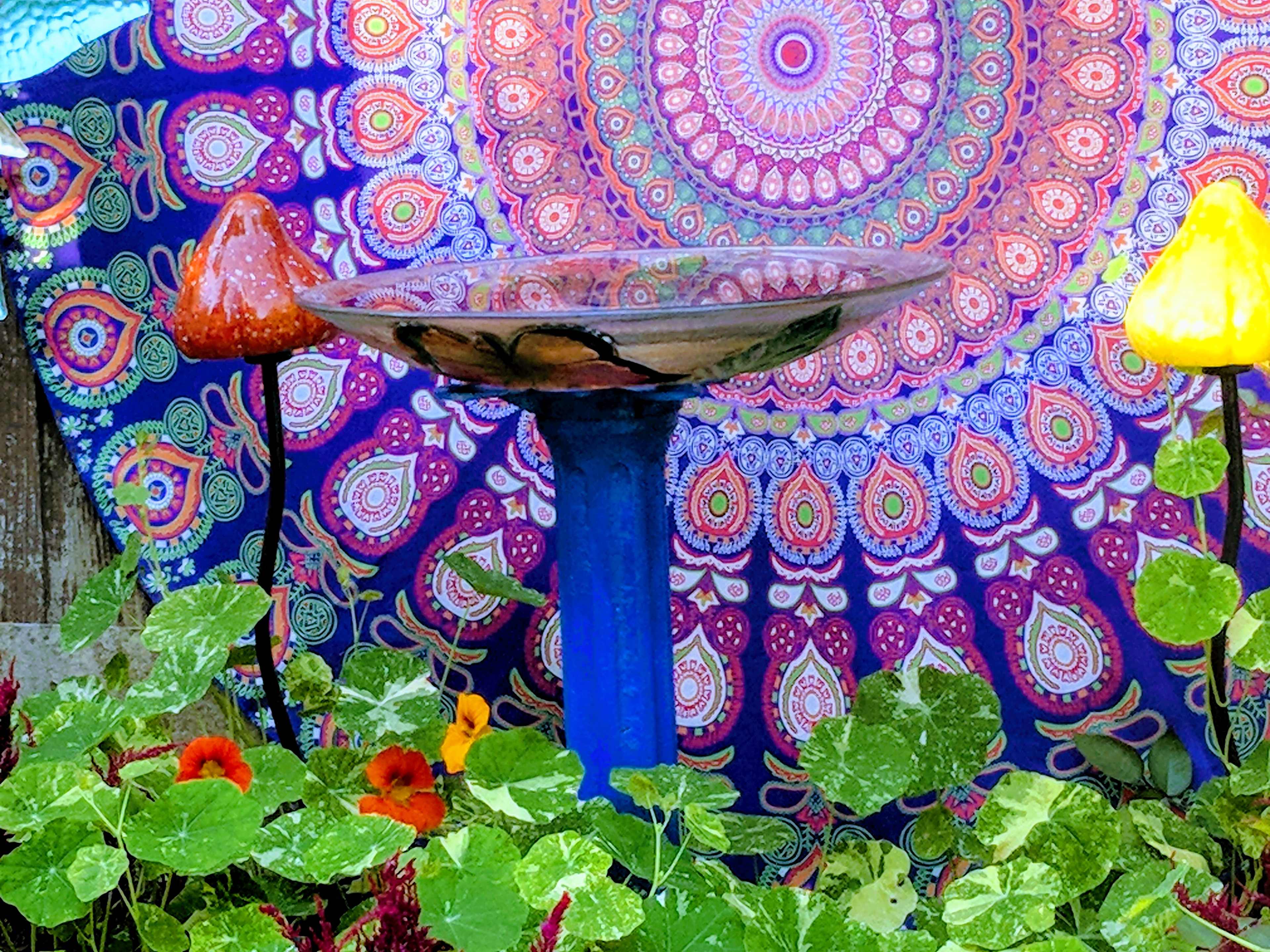 This is a flower garden in front of my house