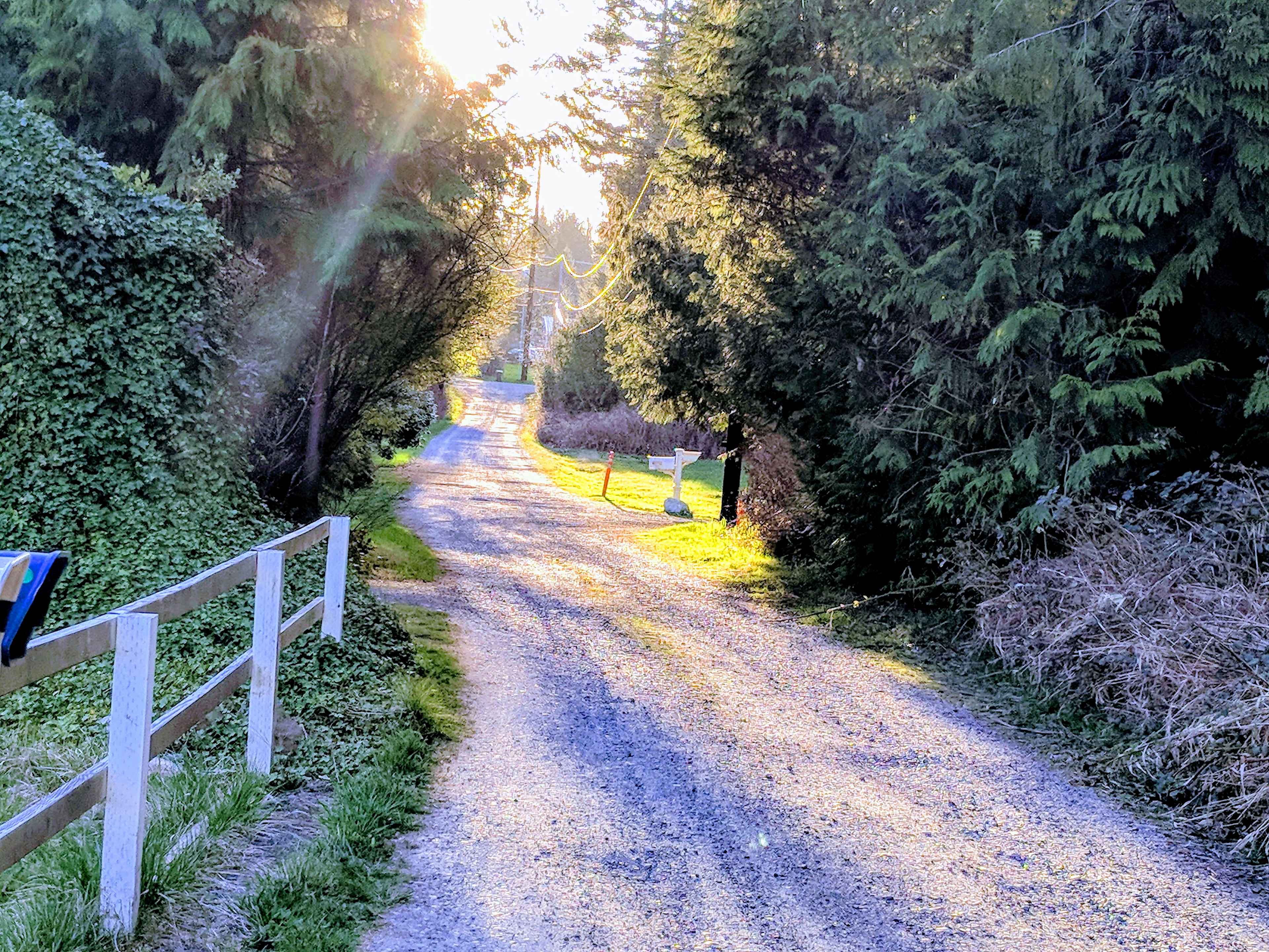 View facing west from the furthest part of the property on 181 Street NW. You would be entering from the furthest point on this road heading east & turning into the first driveway to the left.