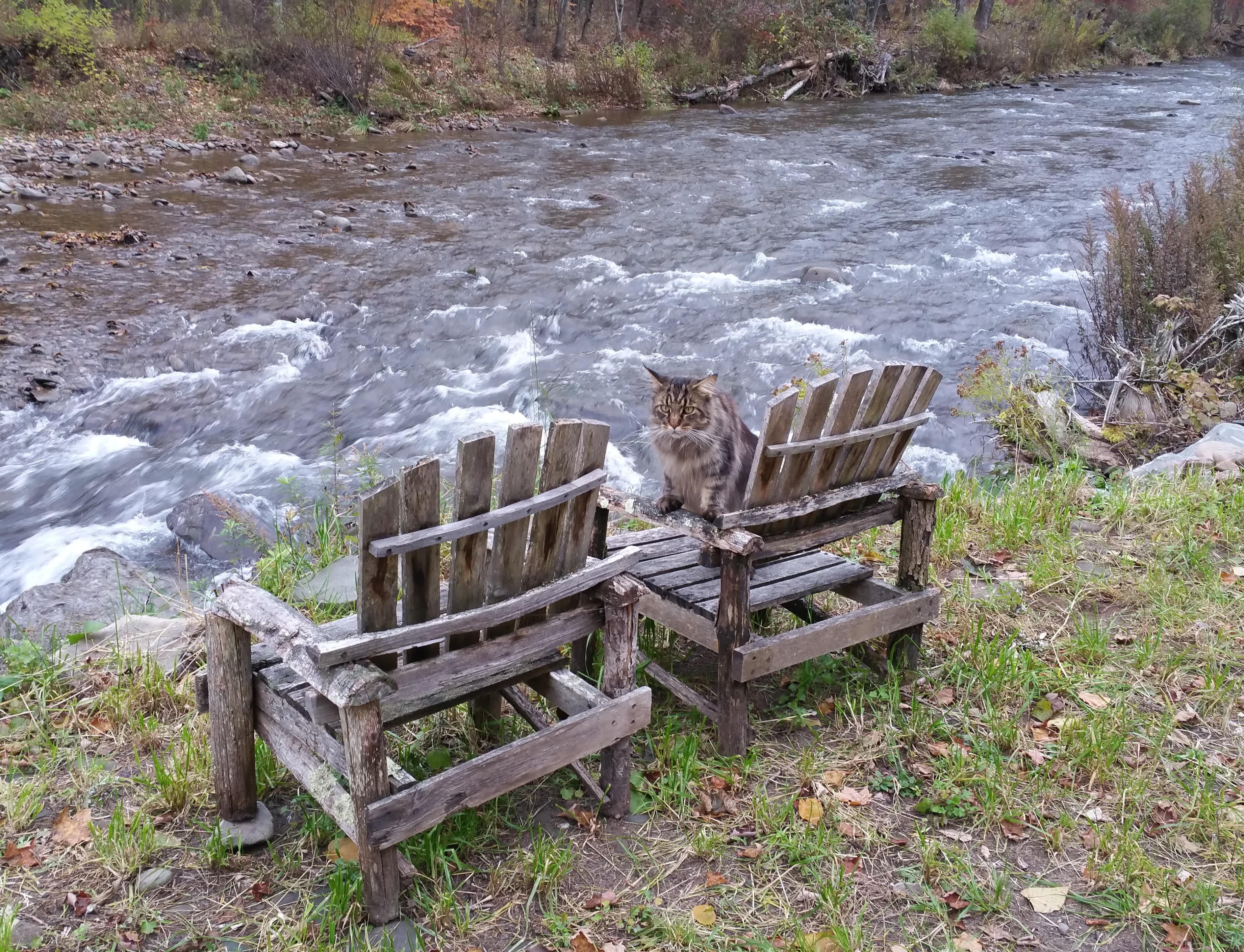 Creekside overlook