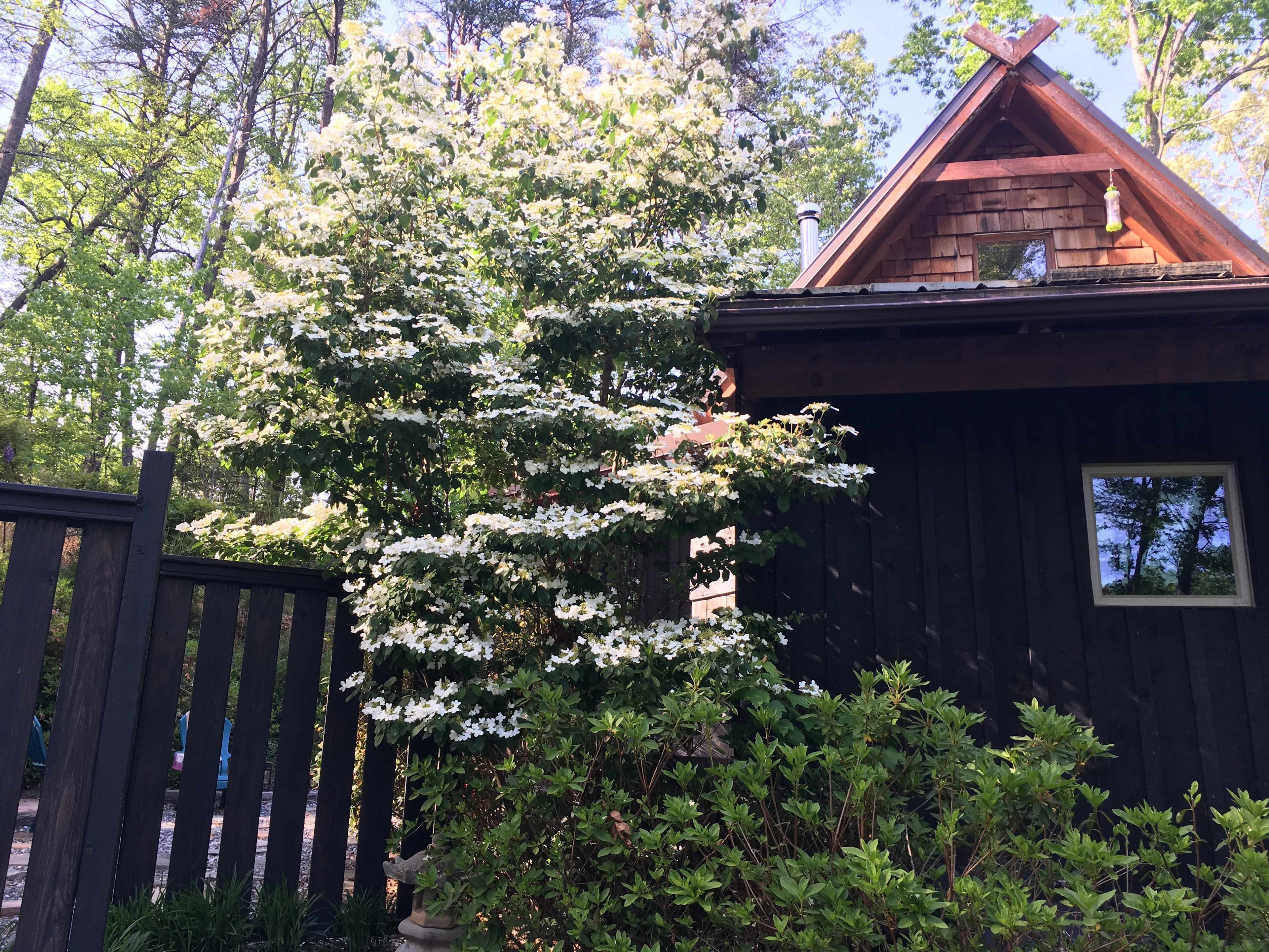 Seclusion and privacy.
