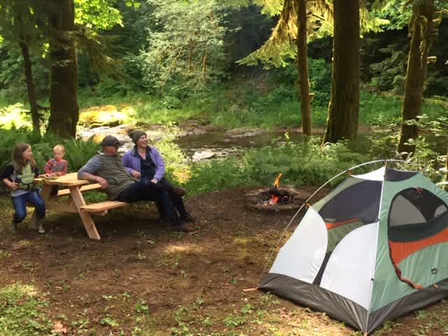 Picnic table. tent spot, and firepit overlook the river.