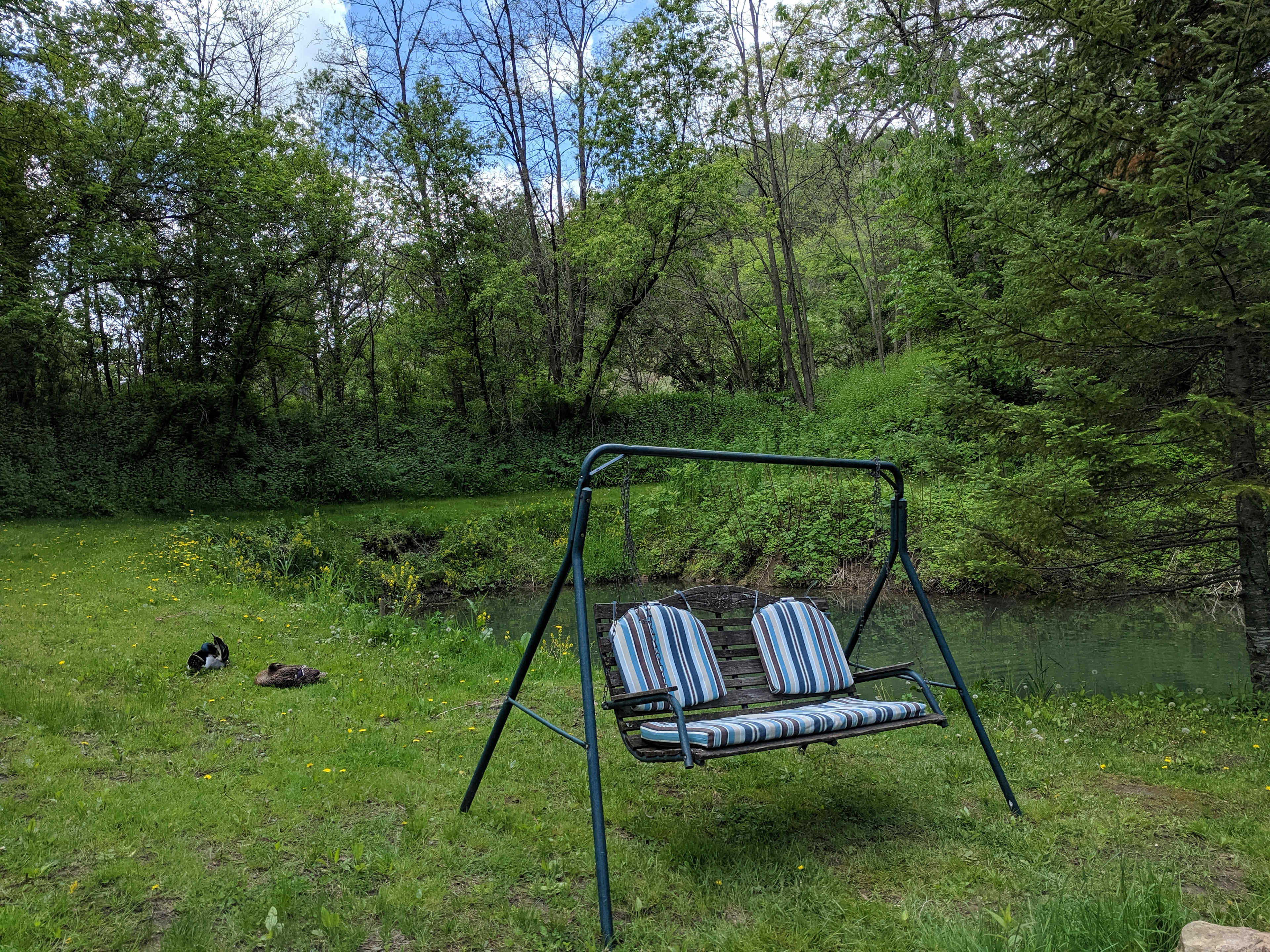 Picture of the site