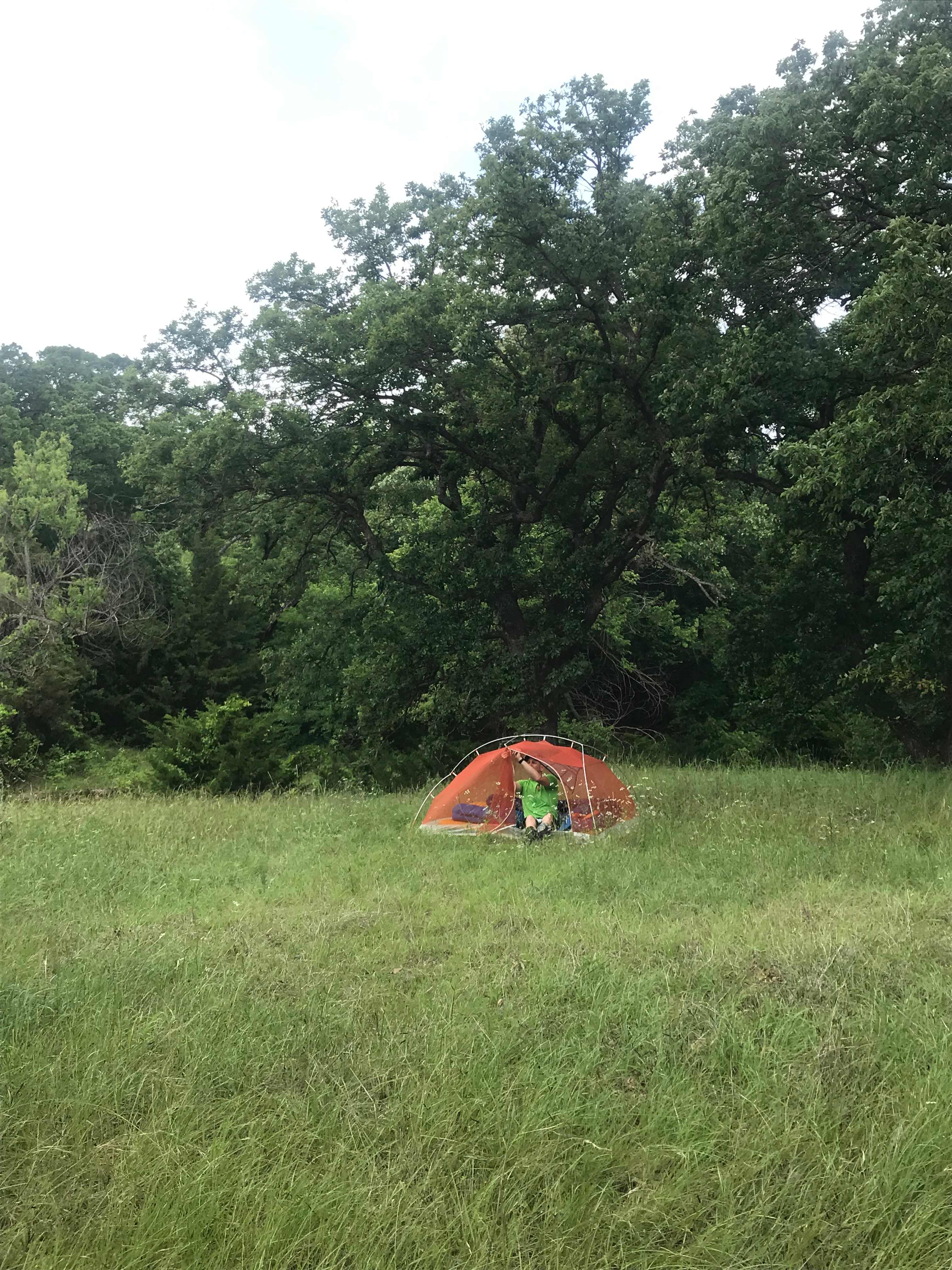 Picture of the site