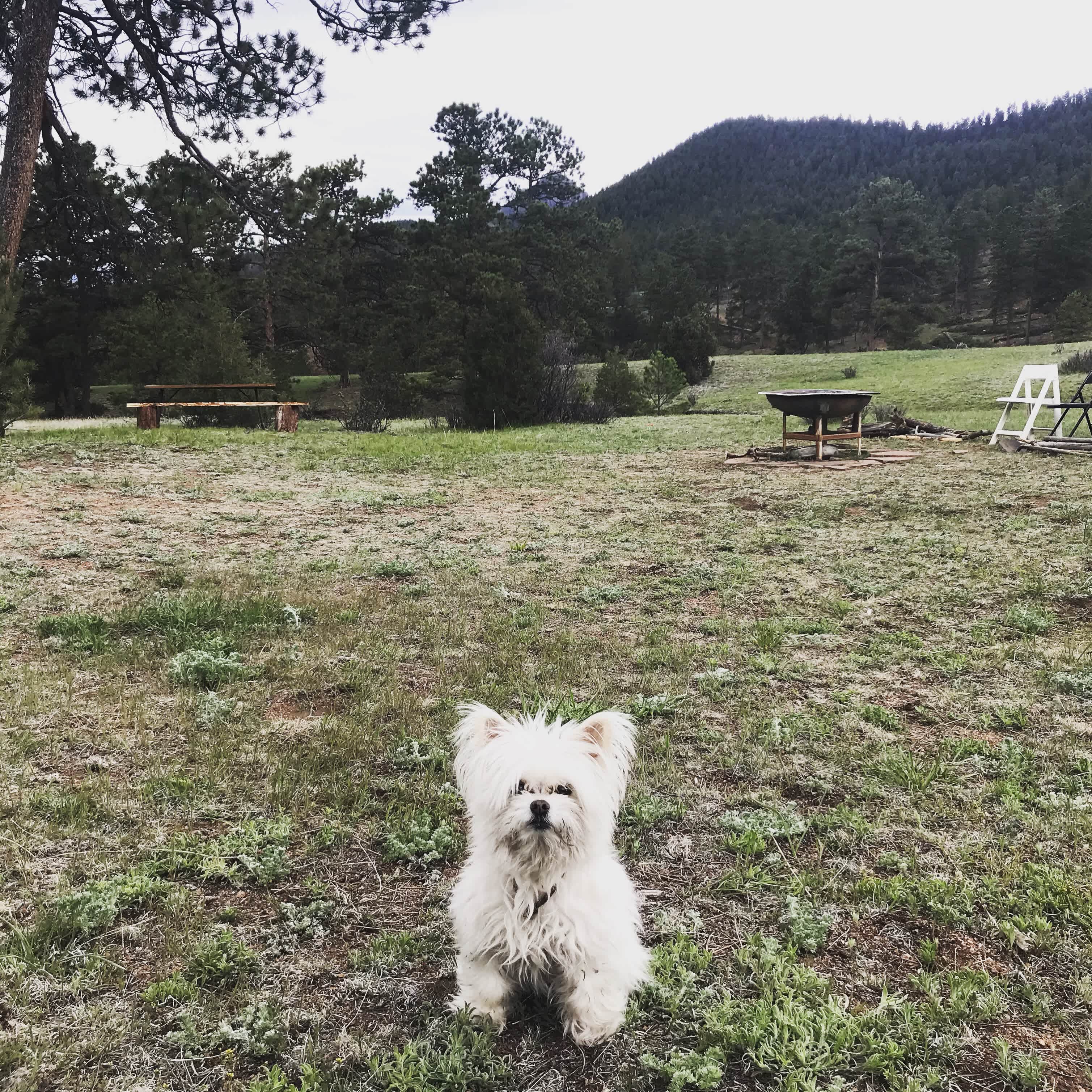 Resort Valley Ranch East