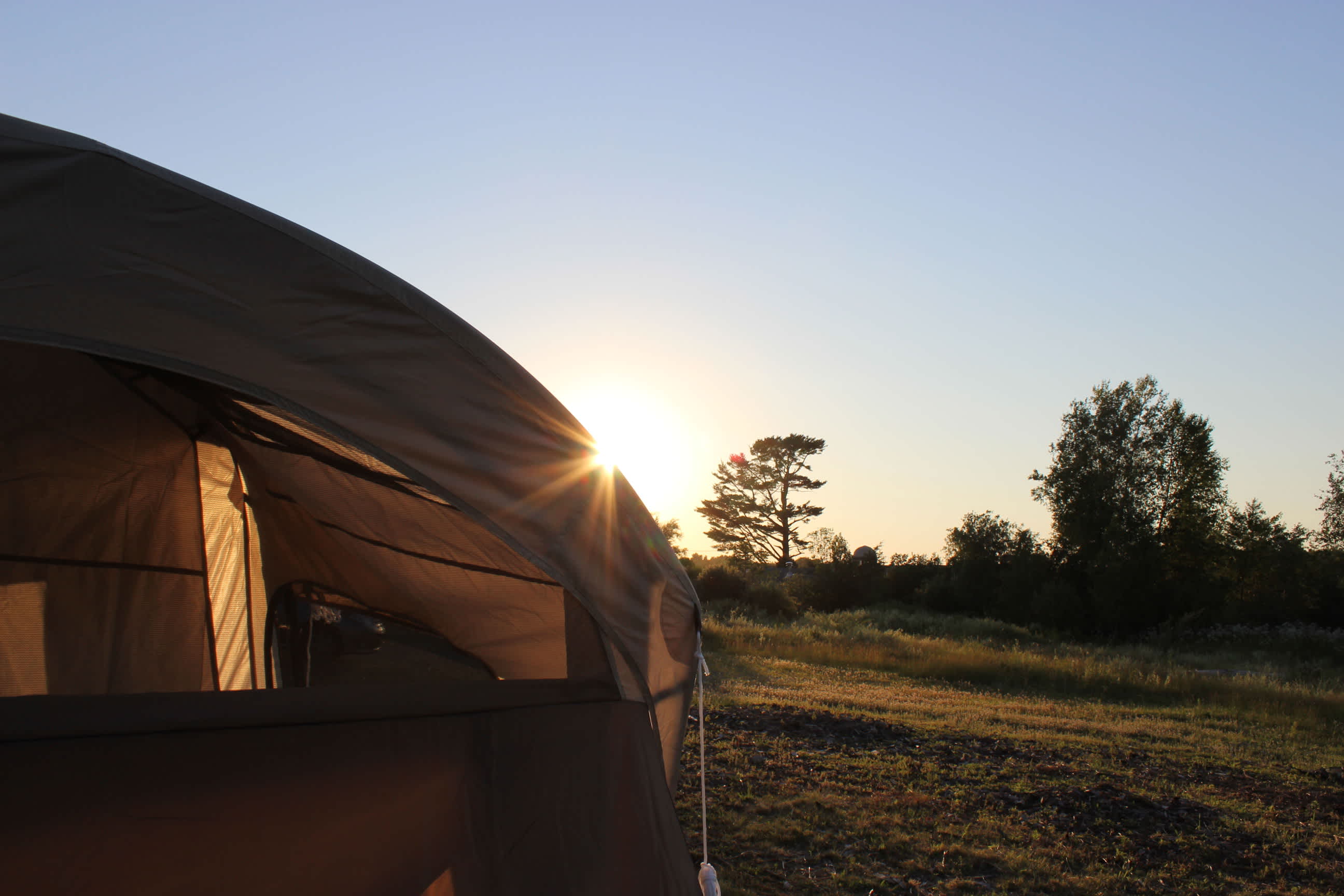 Camping With Wolves, Acadia Area