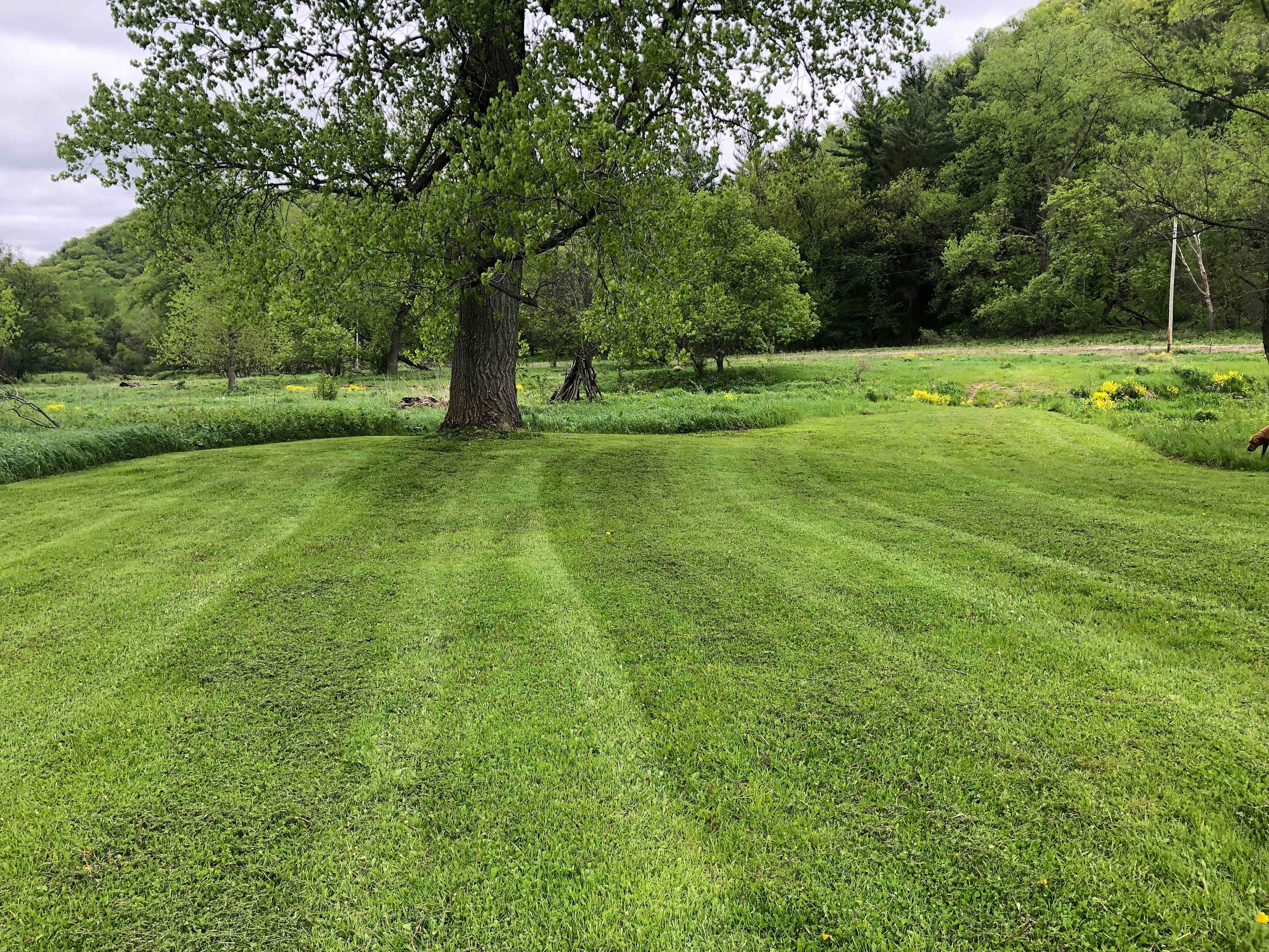 Picture of the site
