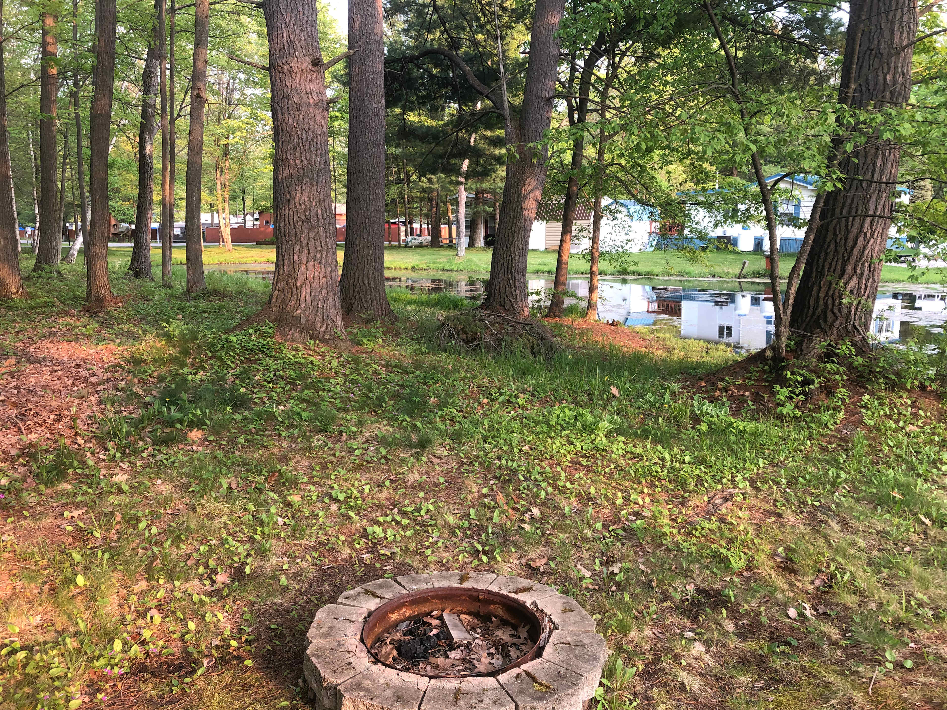 View from fire ring back of lot 14