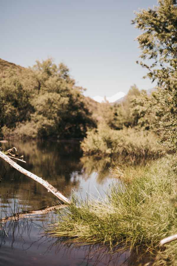 Lake views