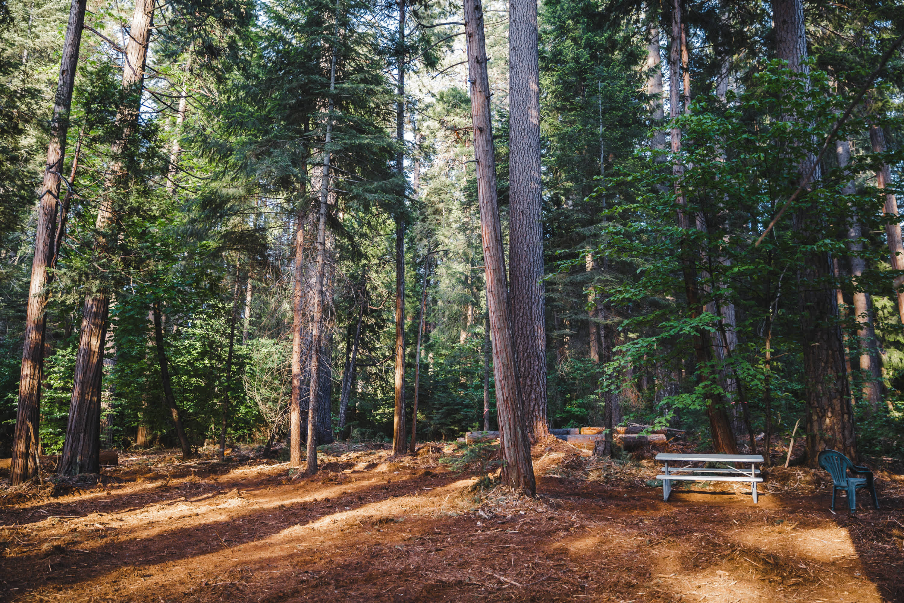 Harris Family Farm and Forest