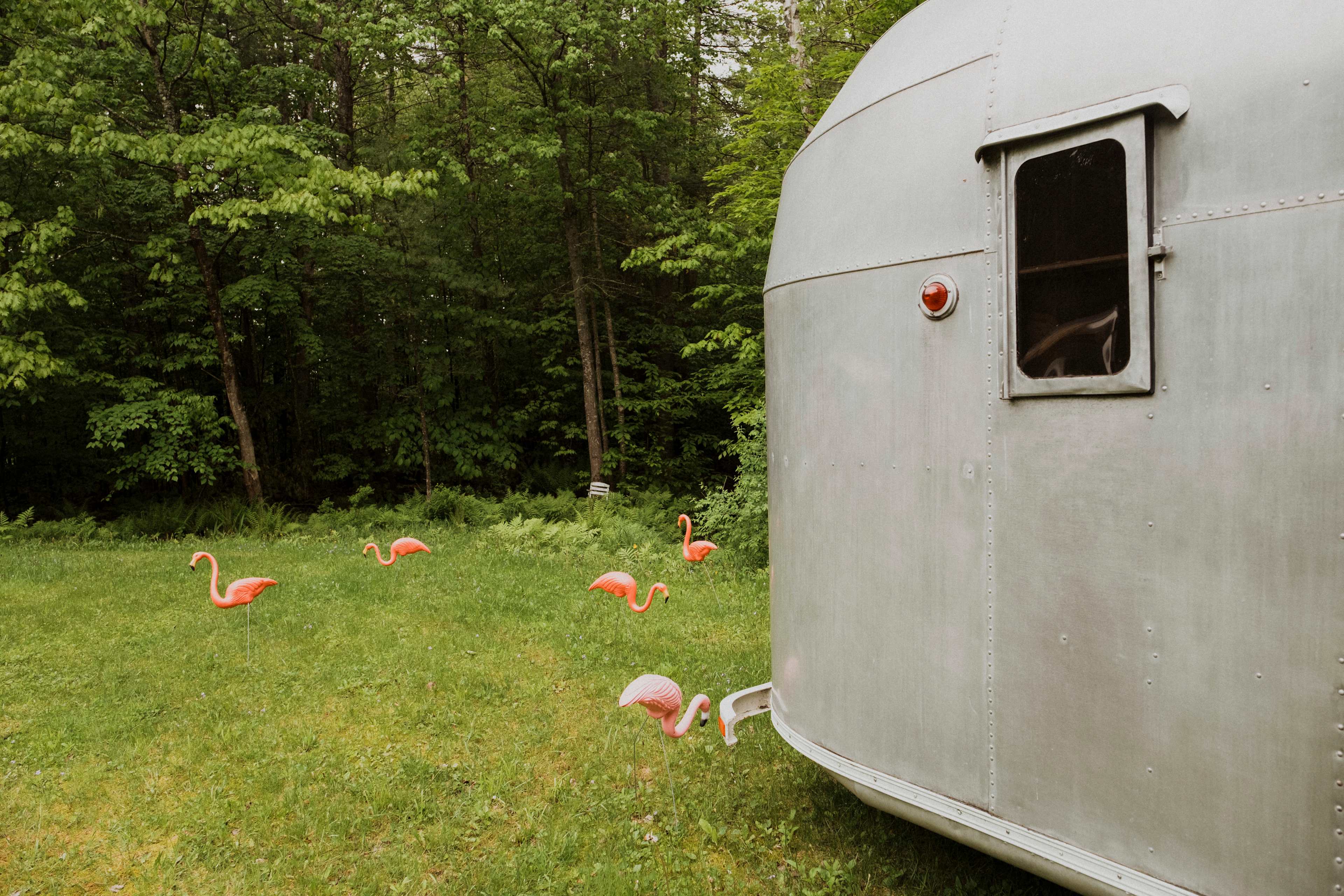 Little plastic flamingo friends. 