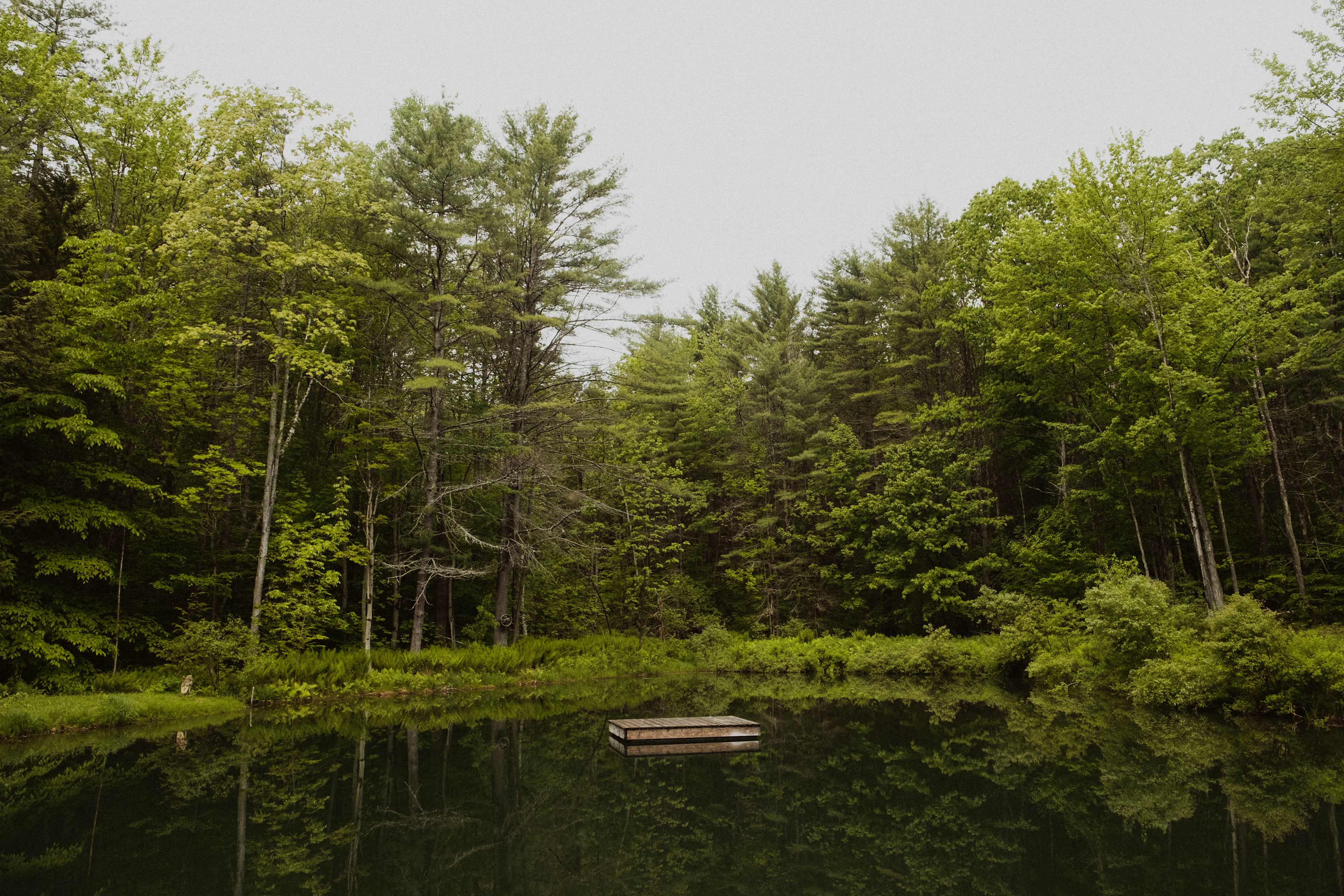 Clear water that's perfect for a summer swim! 