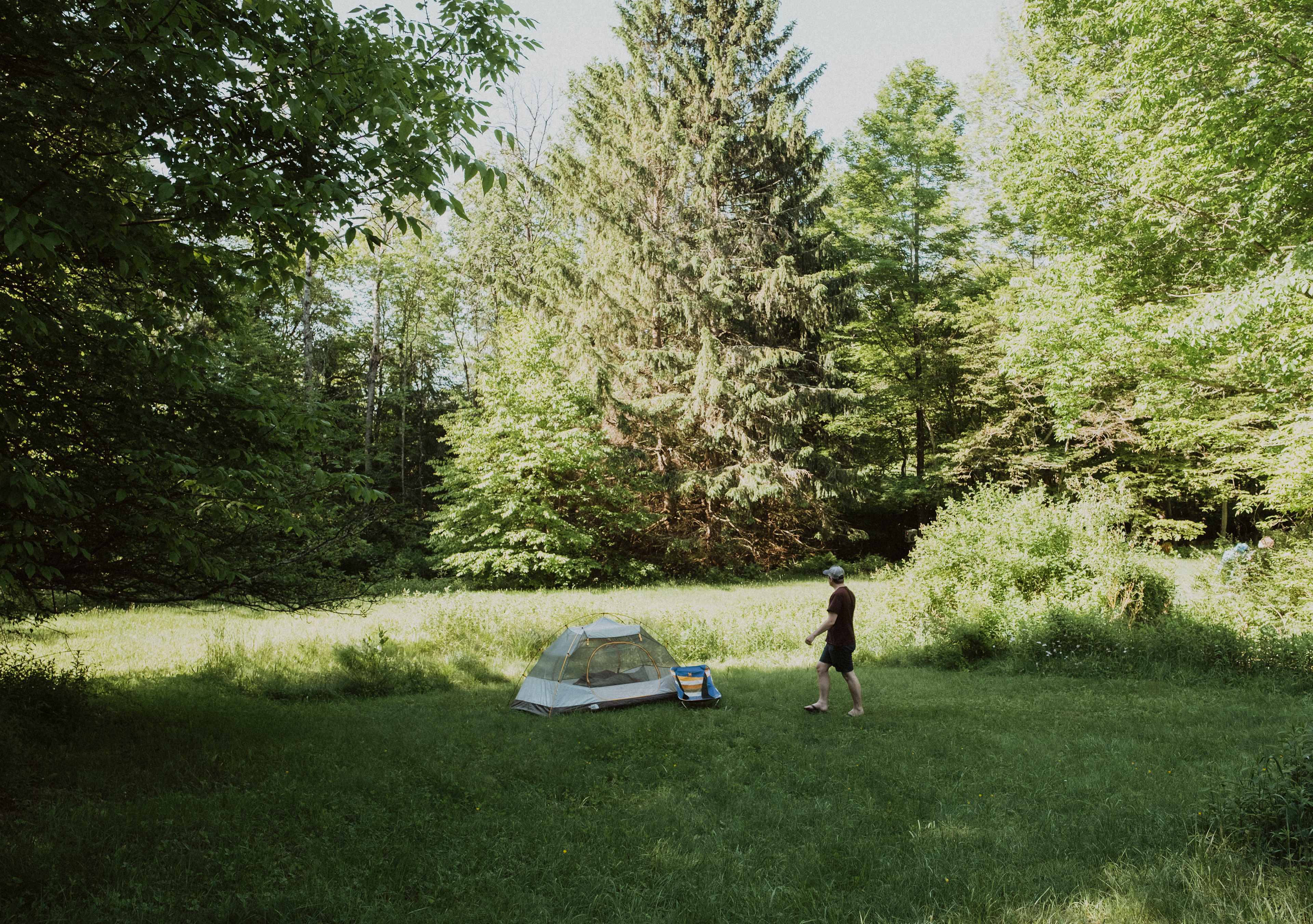 Big open spaces to pitch your tent. 