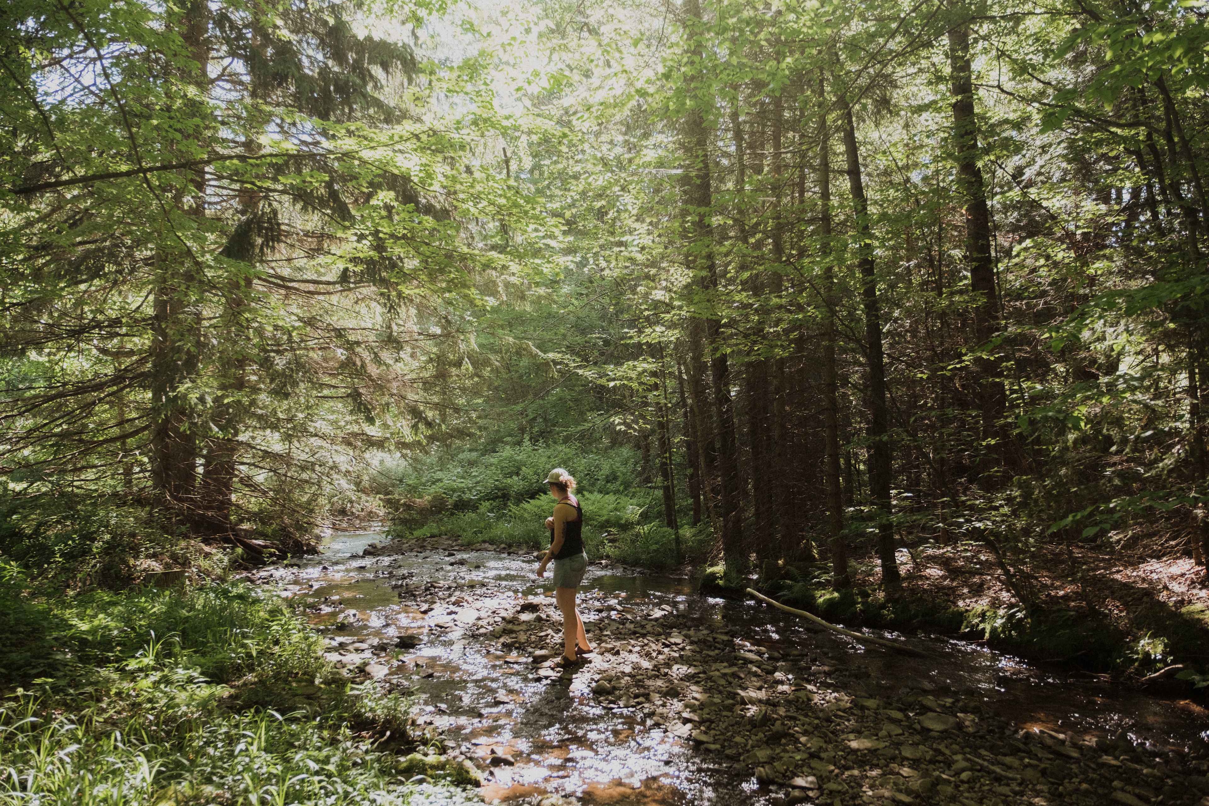 Gorgeous creek you can dip your toes in. 