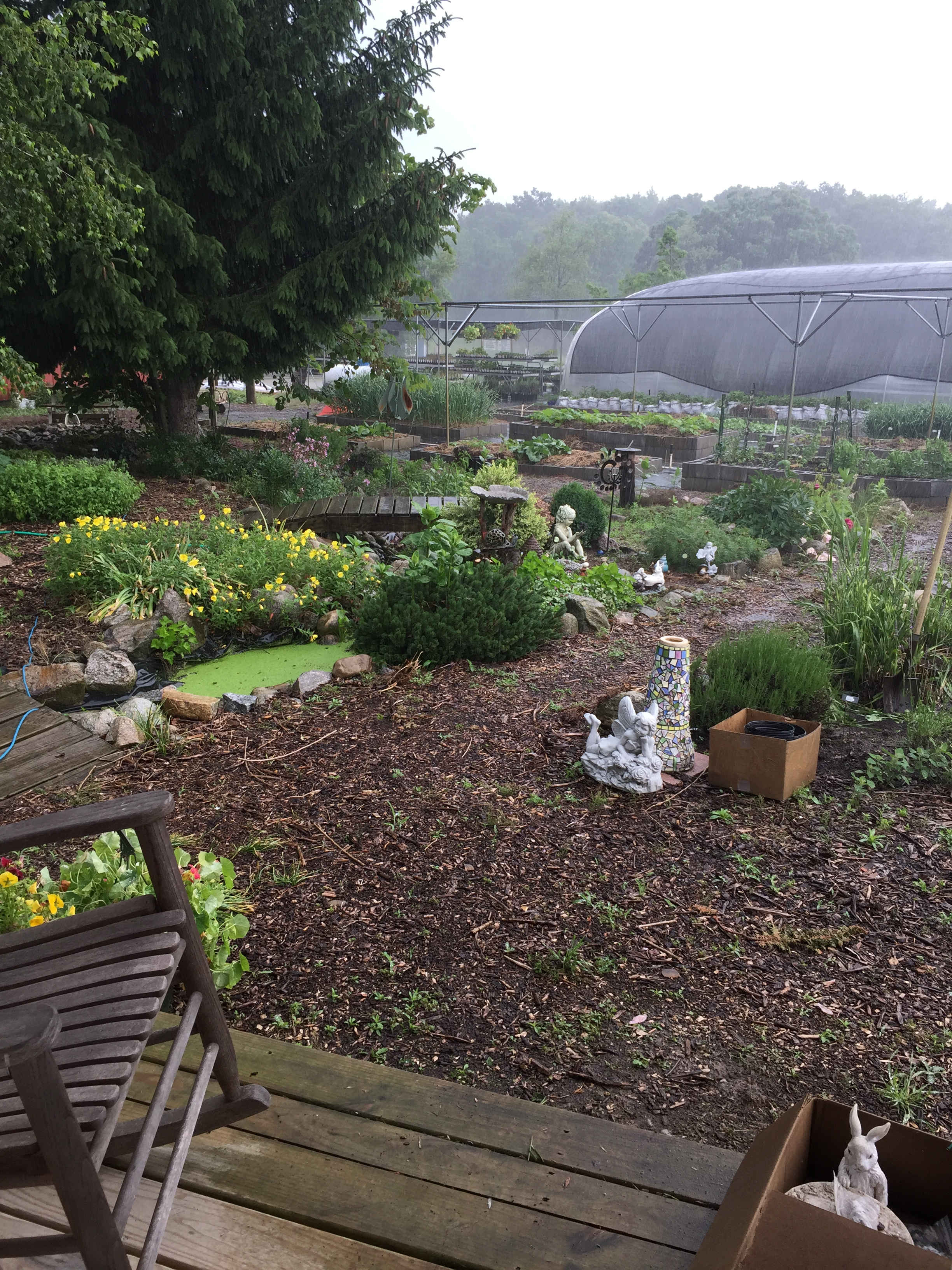 Garden Market: Herb Garden