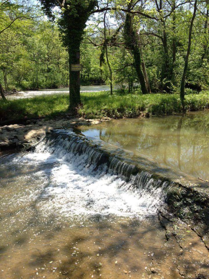 Hones Pointe Campground