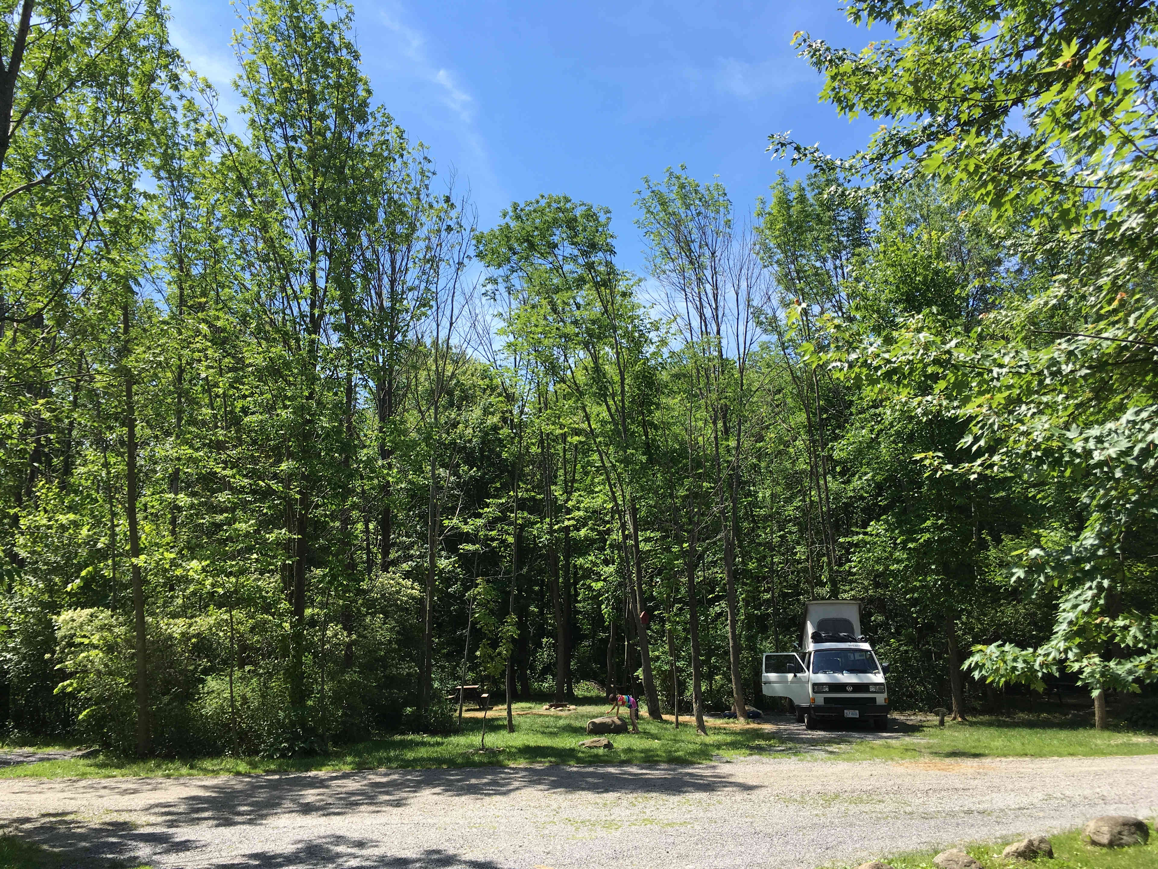 Picture of the site