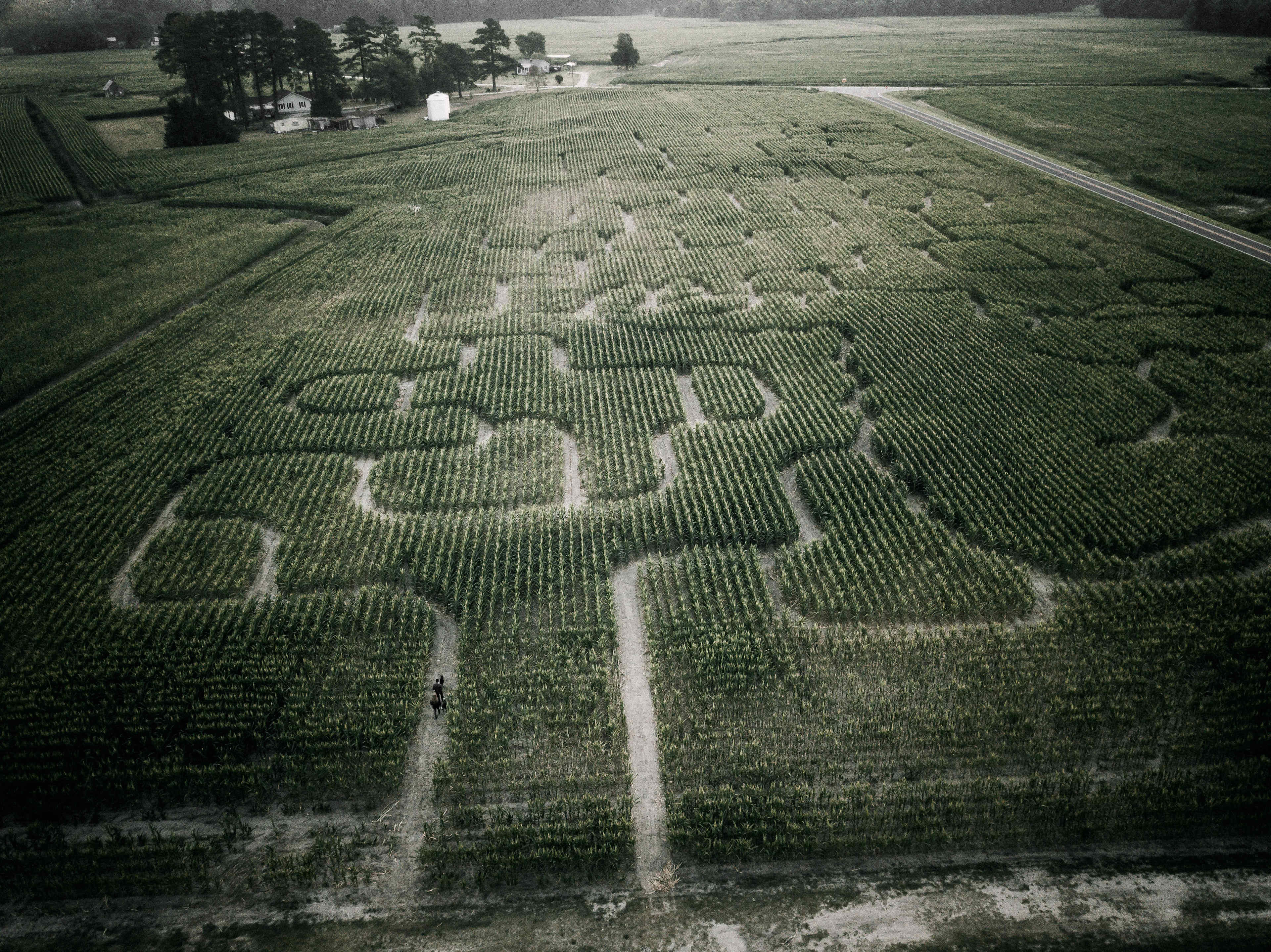 Bright Star Farm