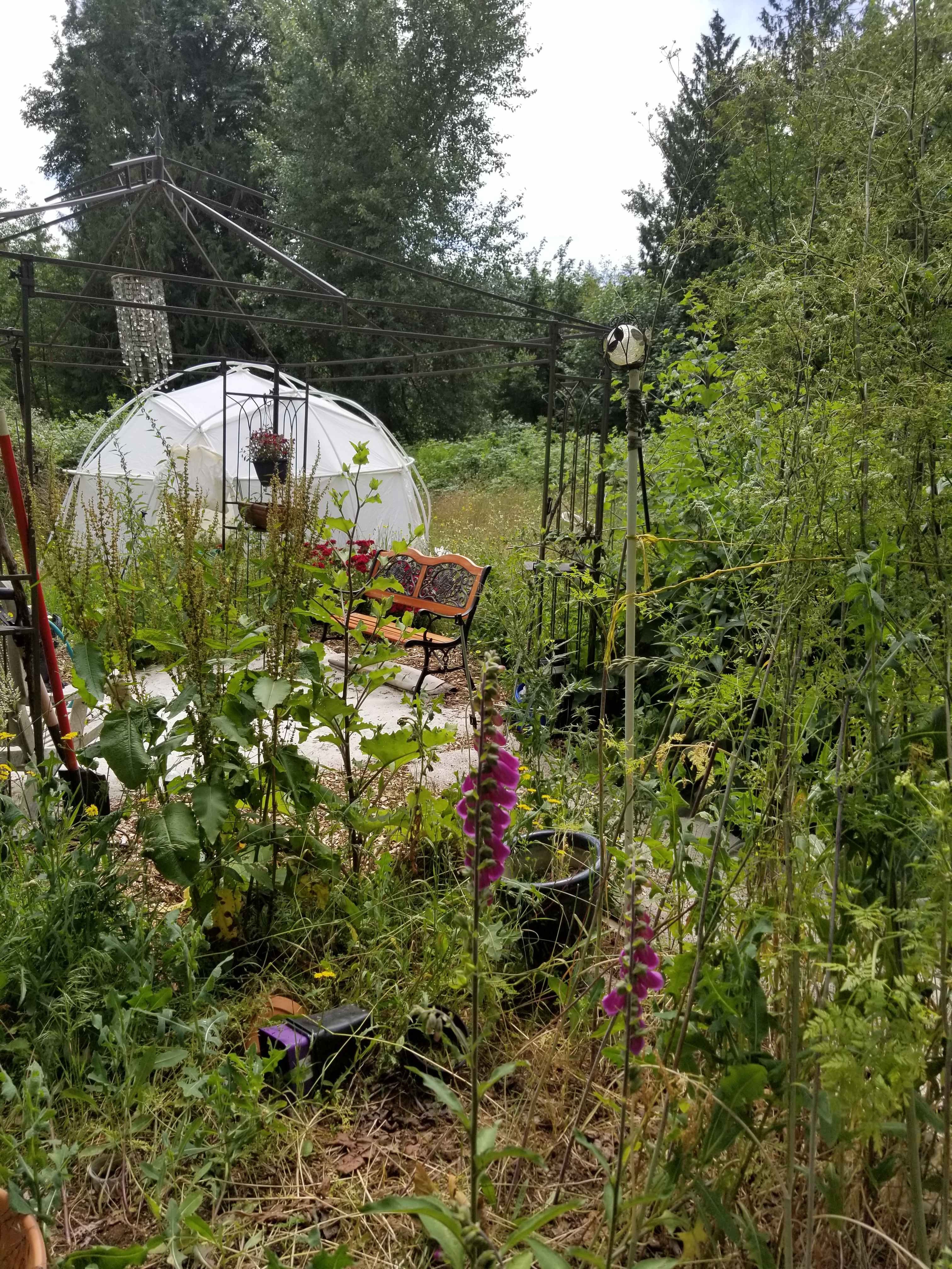 Campsite