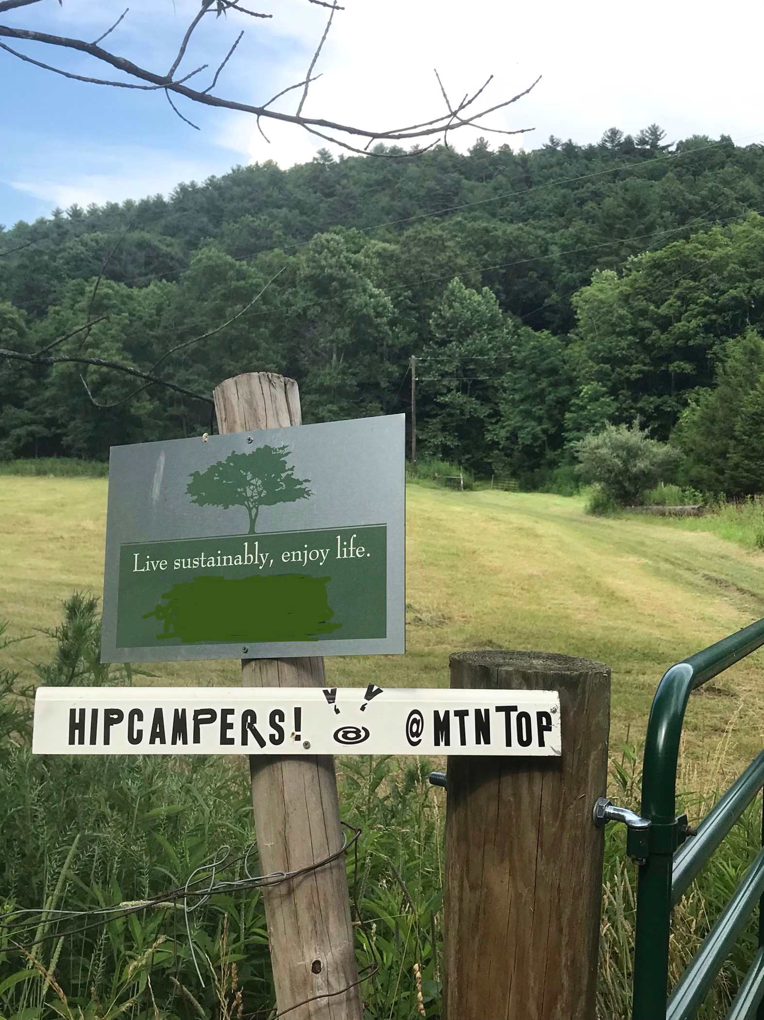 Picture of the site