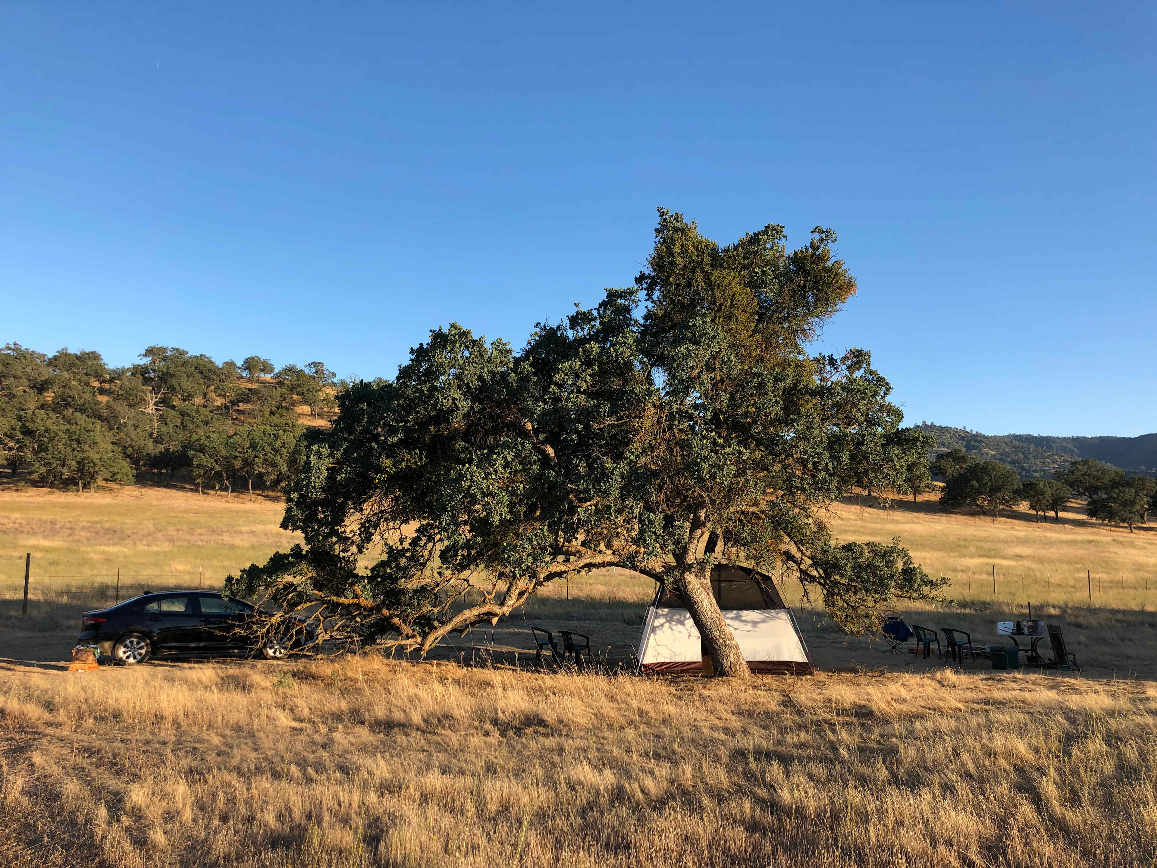 Picture of the site