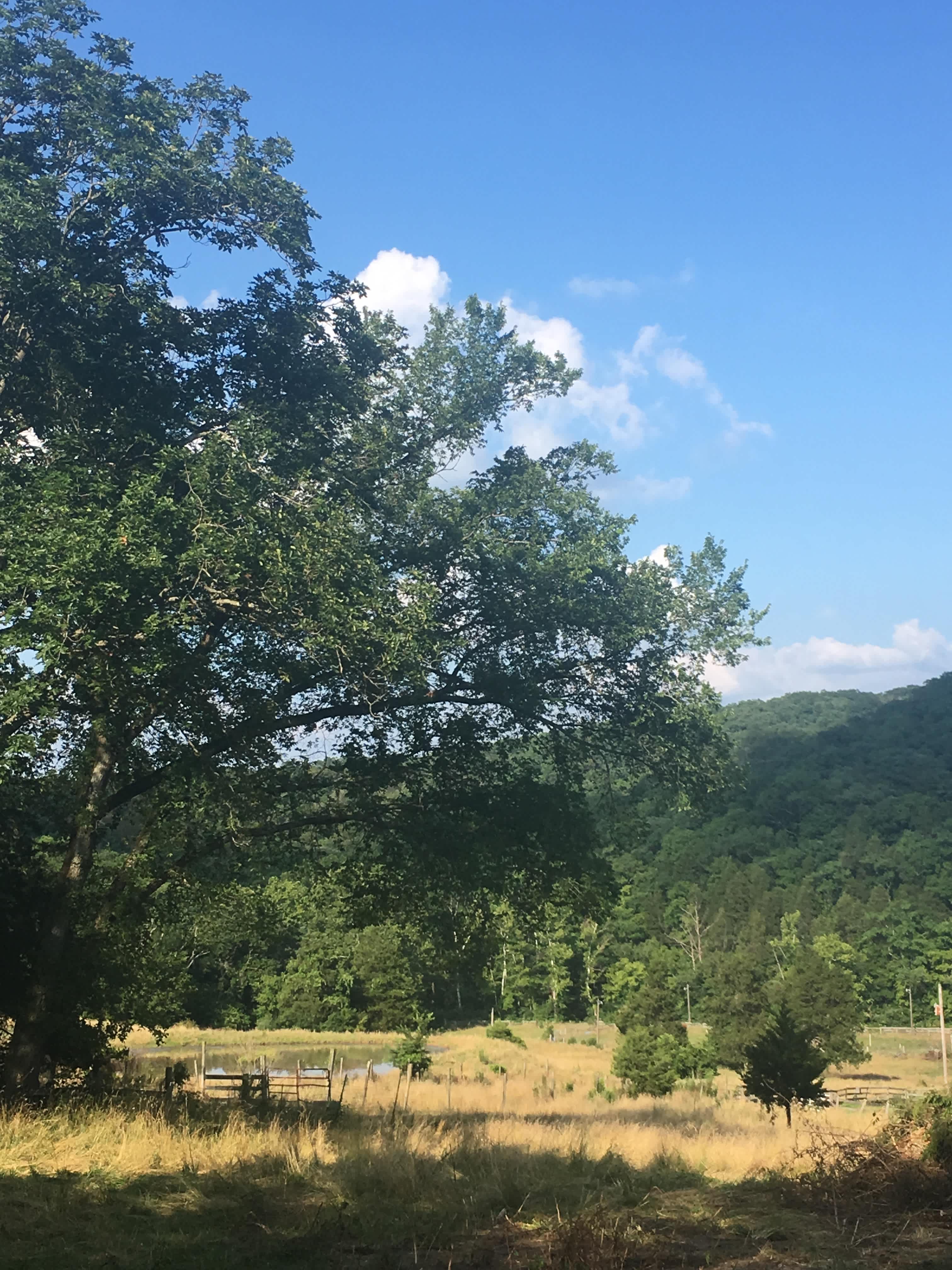 View from campsite - looking toward horse pond.  Water source is located near the metal gate you see in this photo.