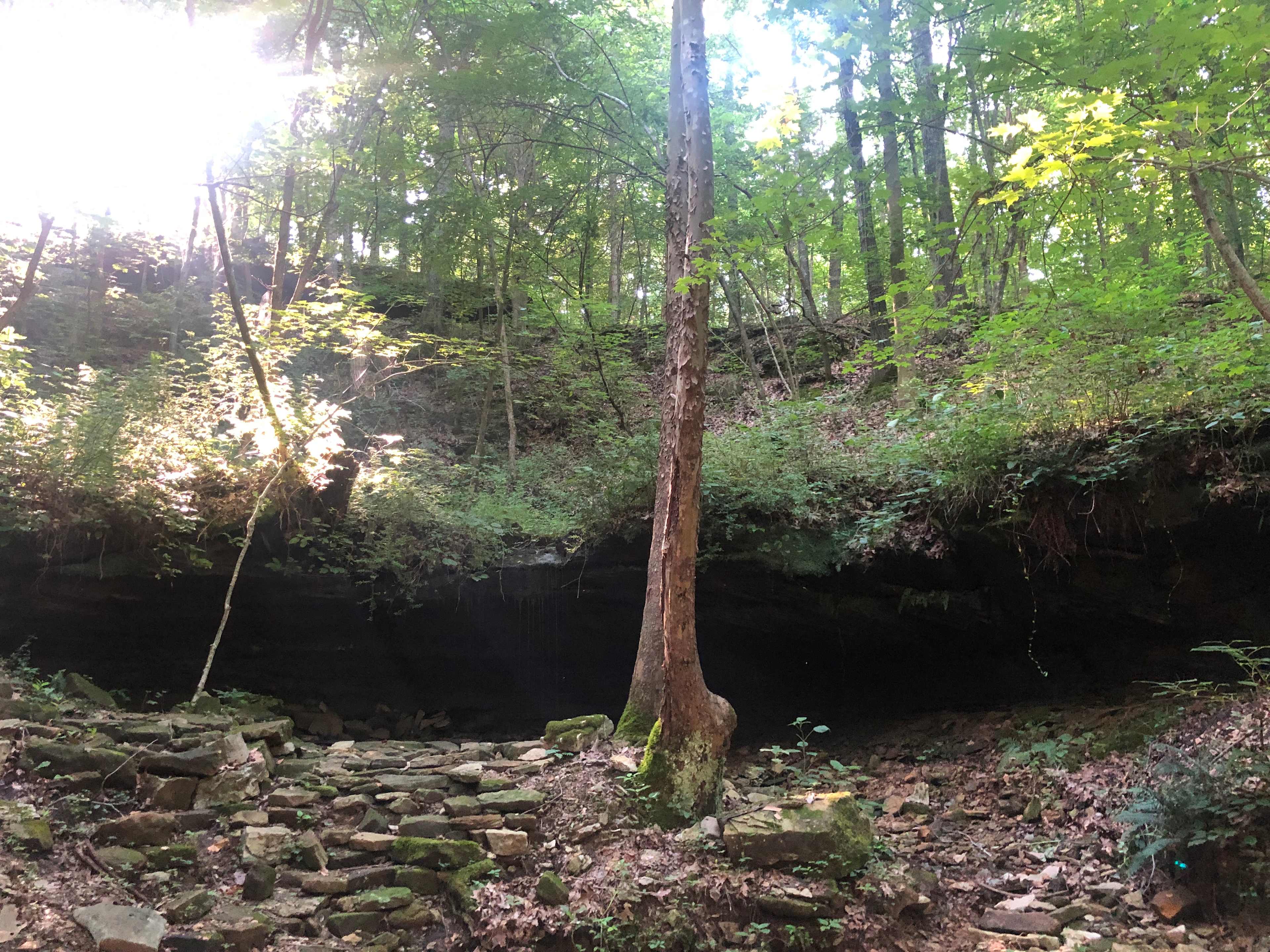 Picture of the site