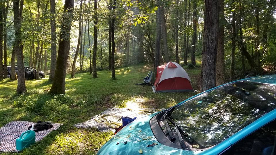 Picture of the site