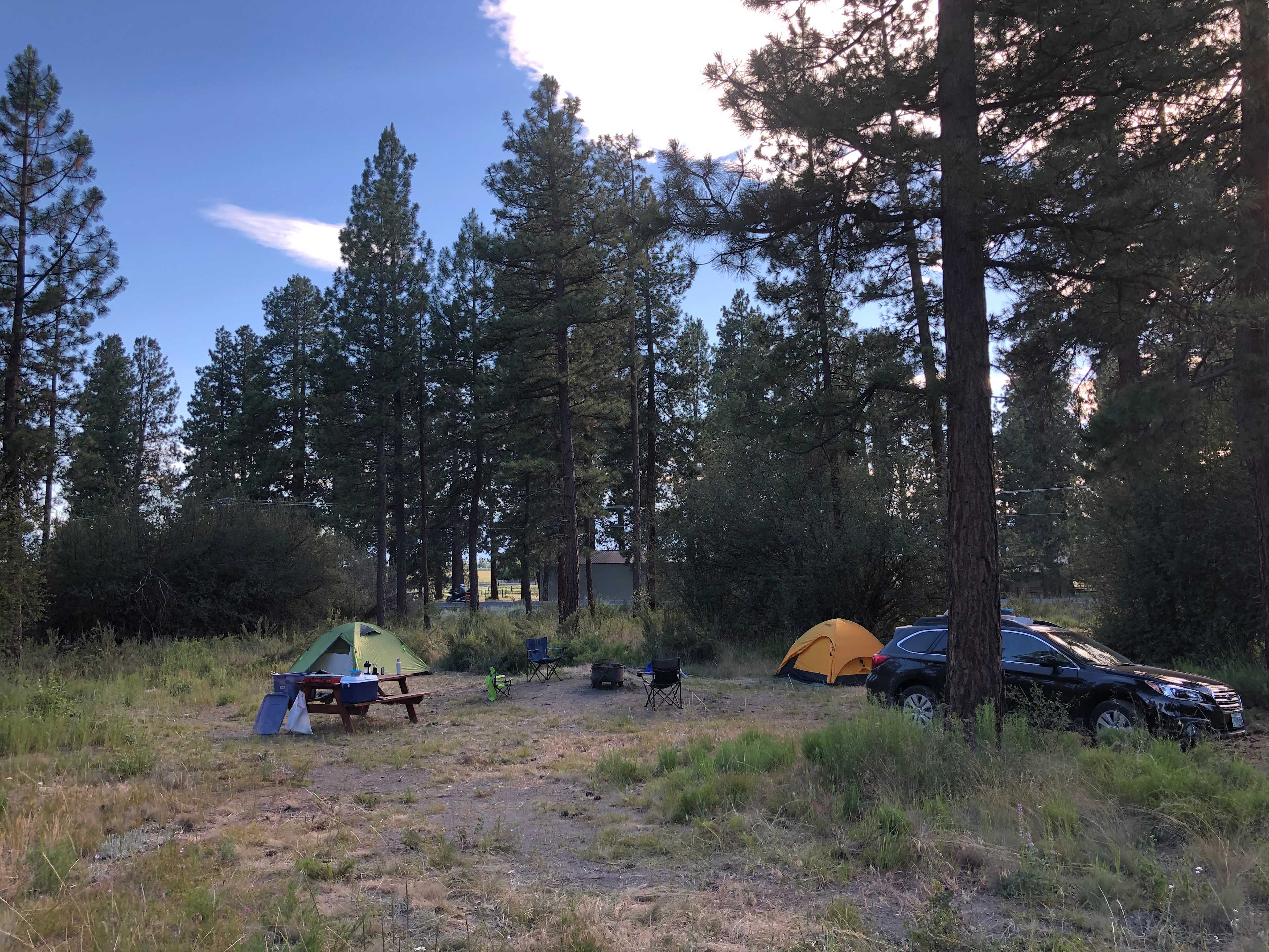 Picture of the site