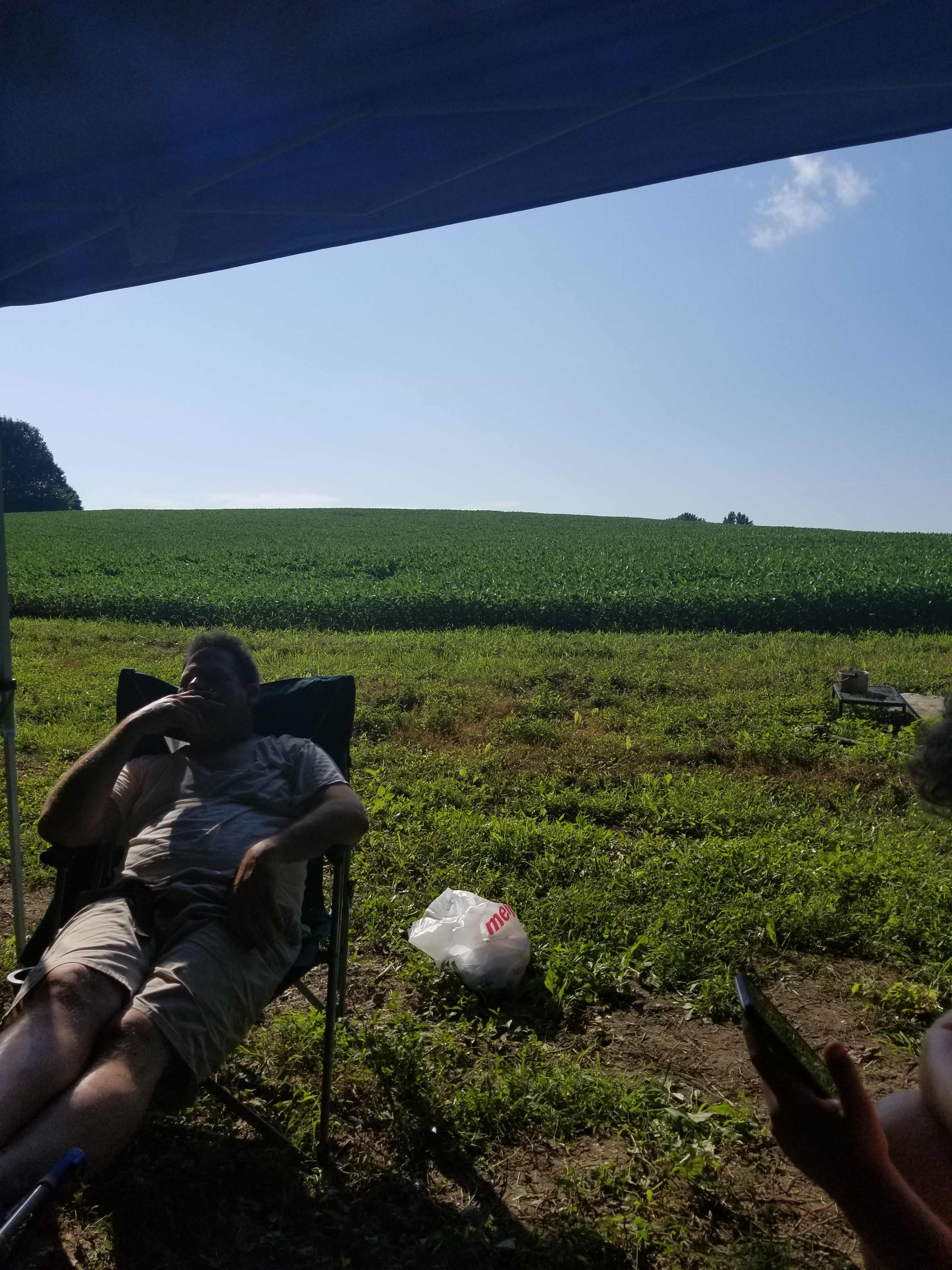On the back of the farm