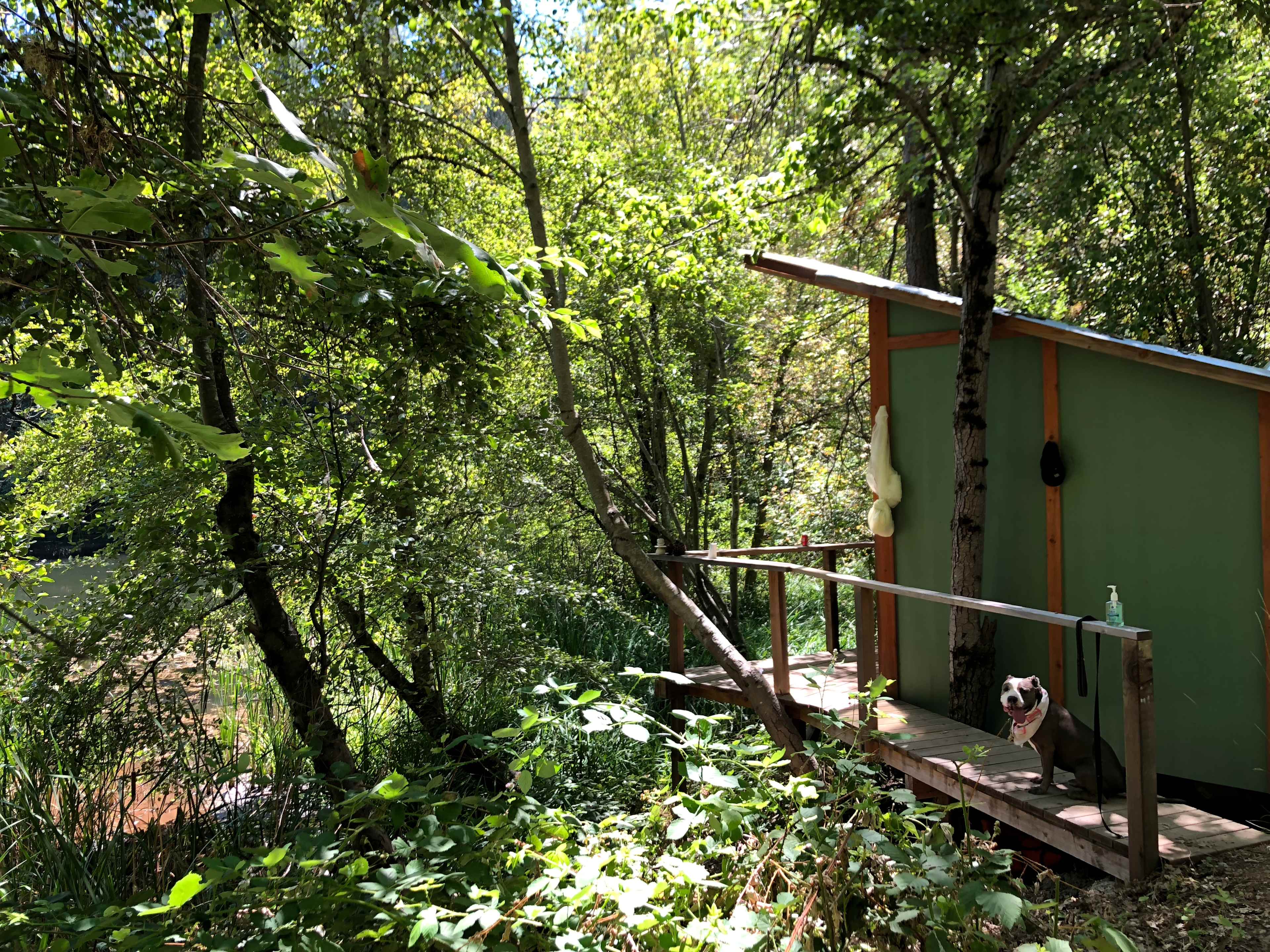 Frolic Pond Cabin