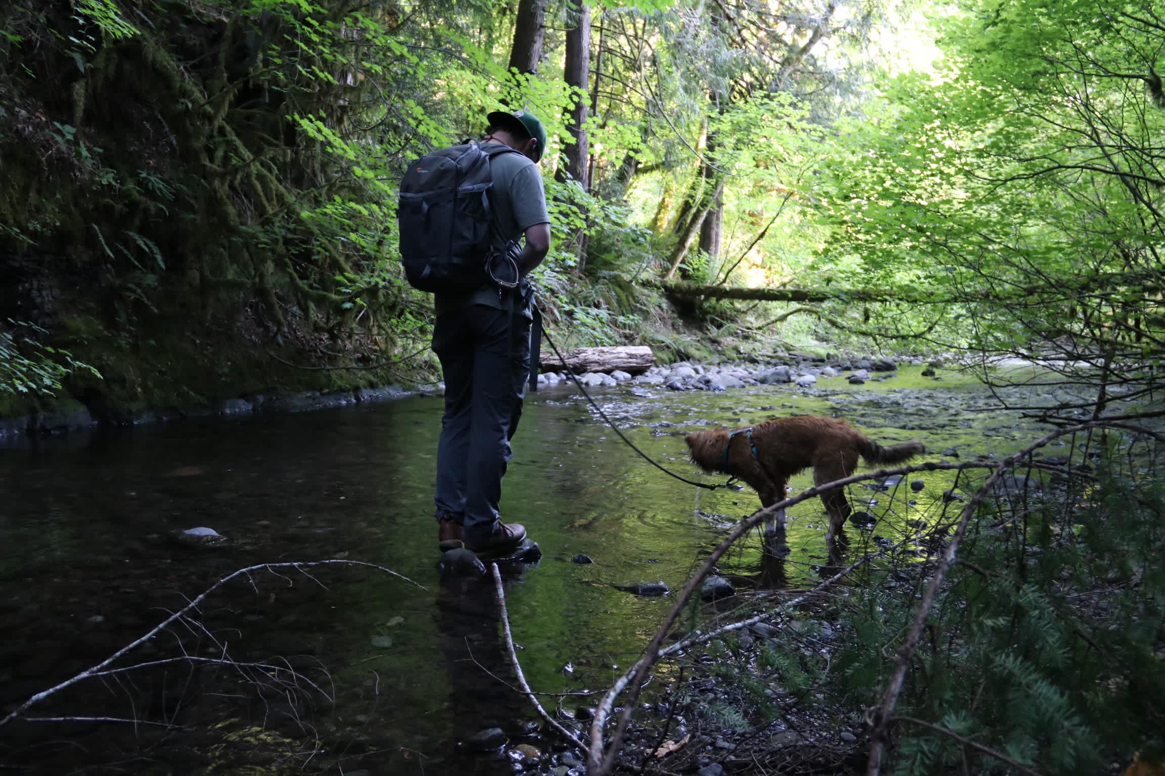 River trail