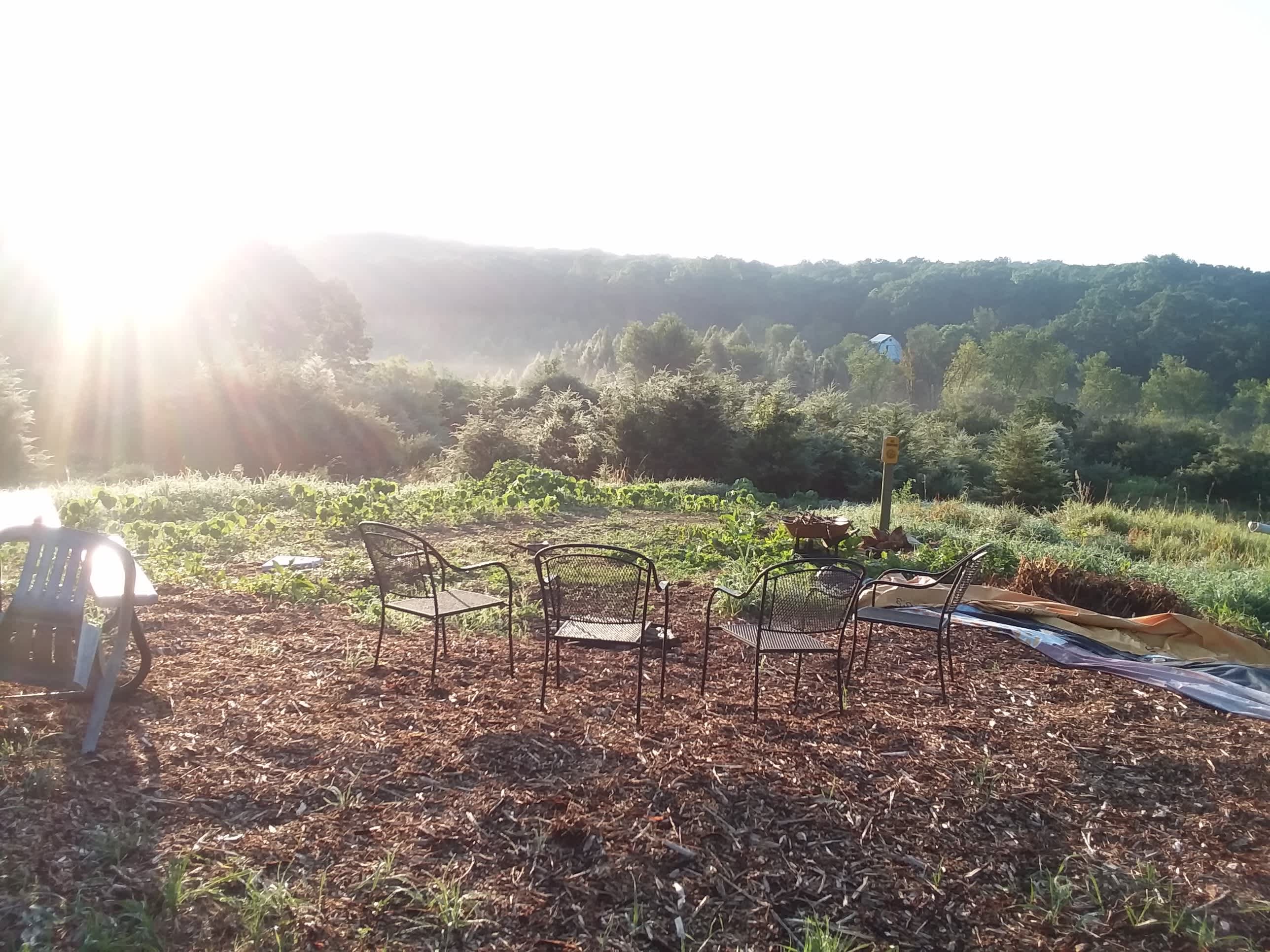 The hilltop bonfire area is supreme views. Great for bonfires and watching sunsets and lightning bugs.