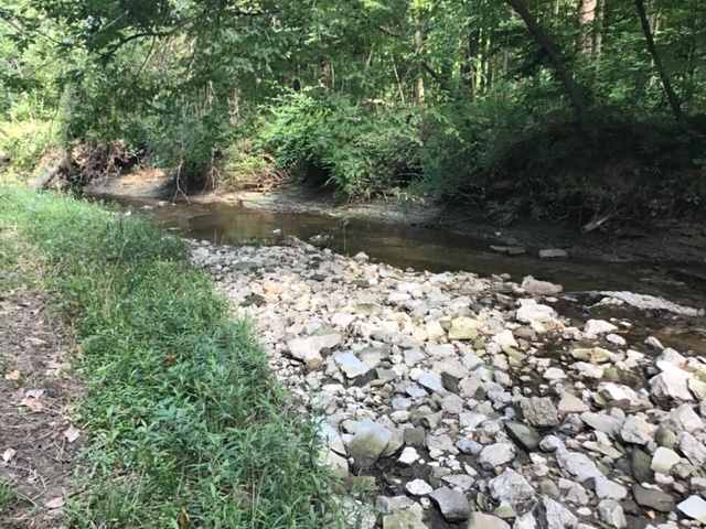 Creek bed by camp site
