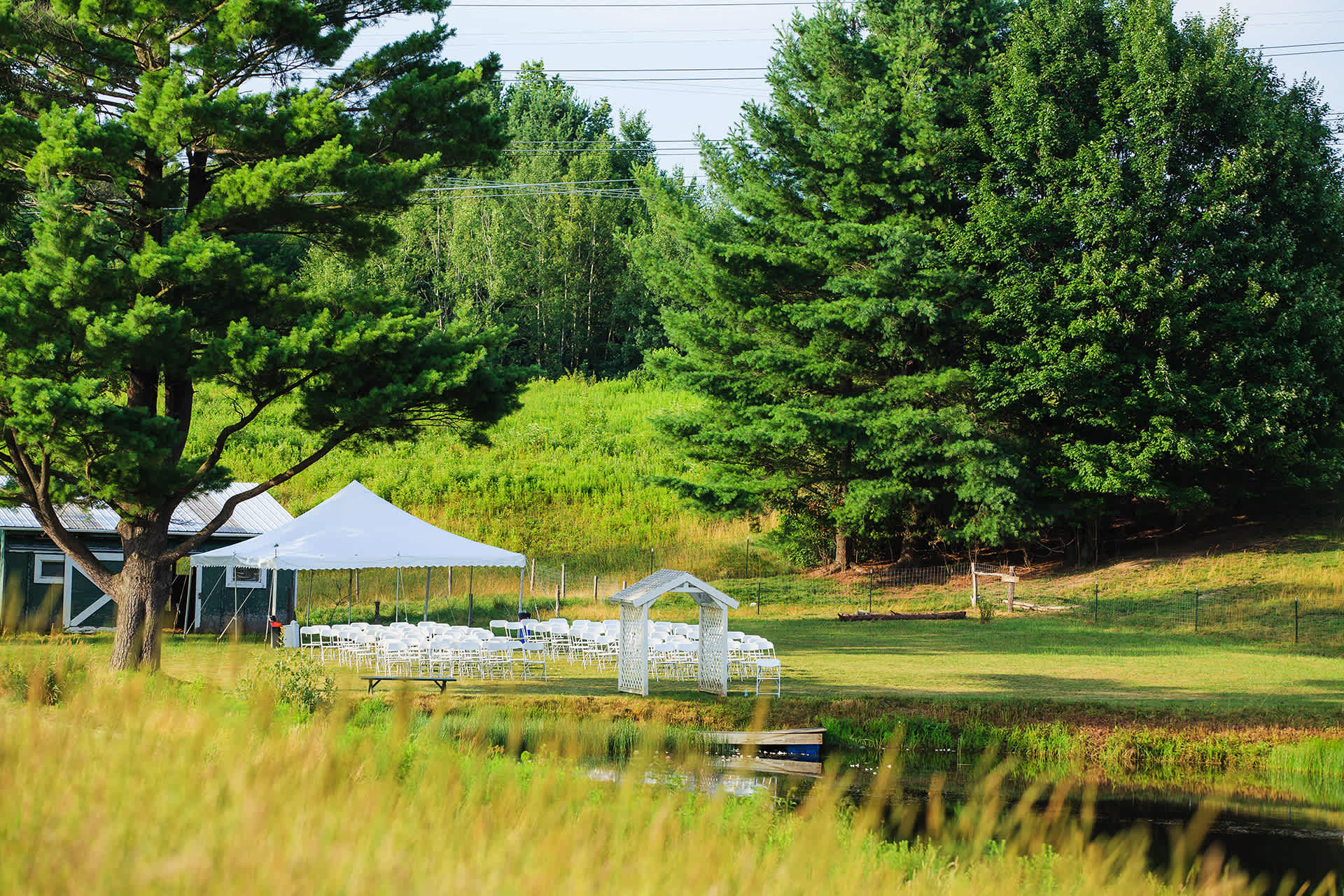 Picture of the site